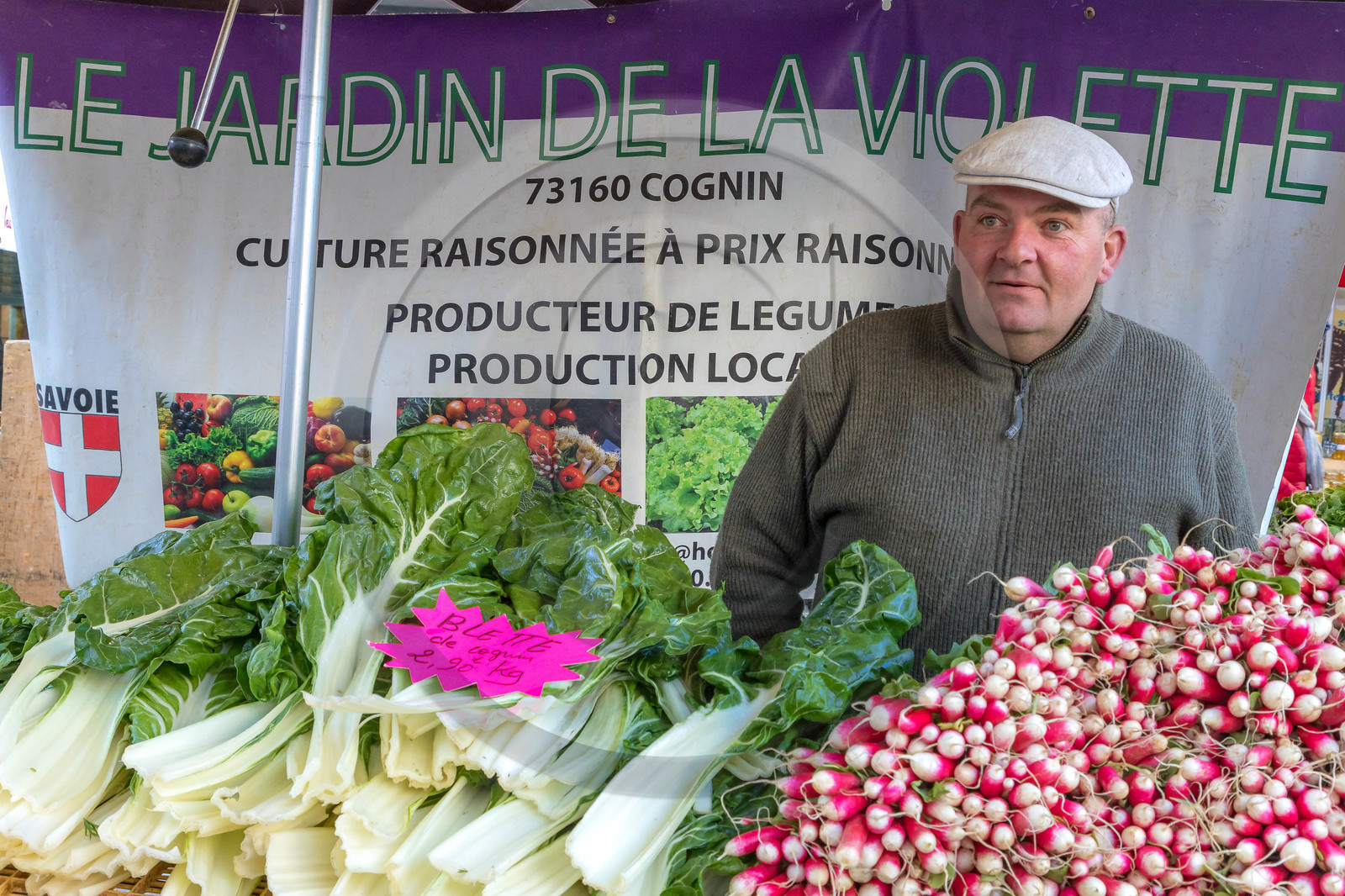 Le jardin de la violette