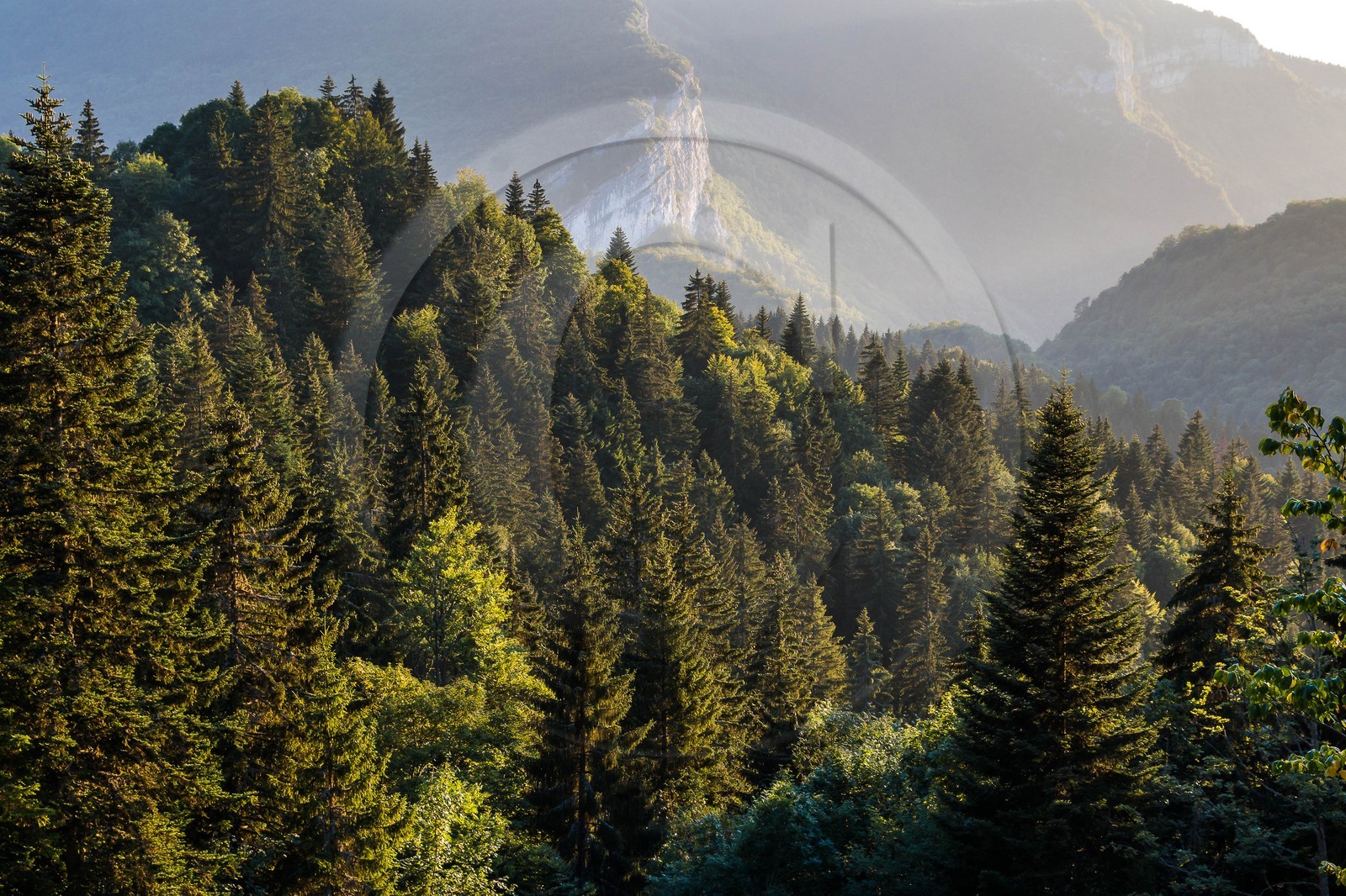 ENS de l'Isère, Les Ecouges