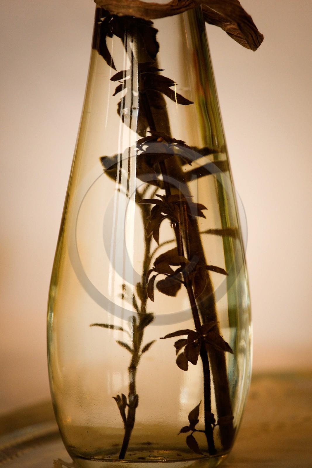 Dégustation vin crate, Hôtel Palais Deskovic