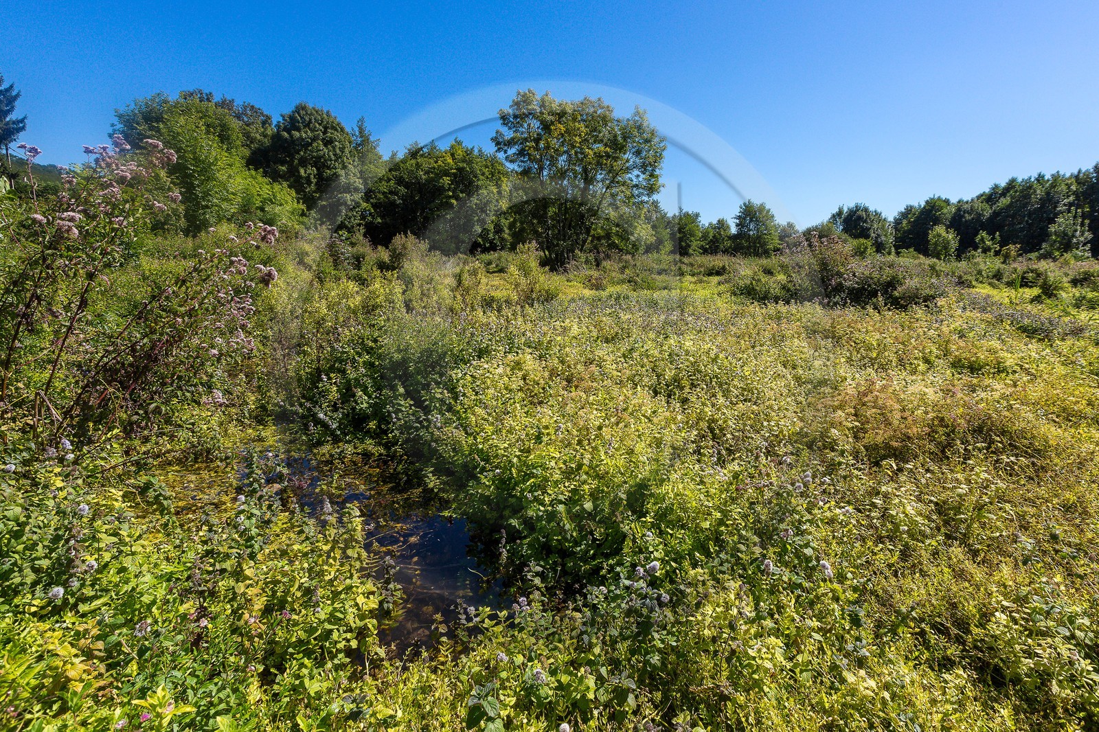 ENS de l'Isère, Les Fontaines de Beaufort