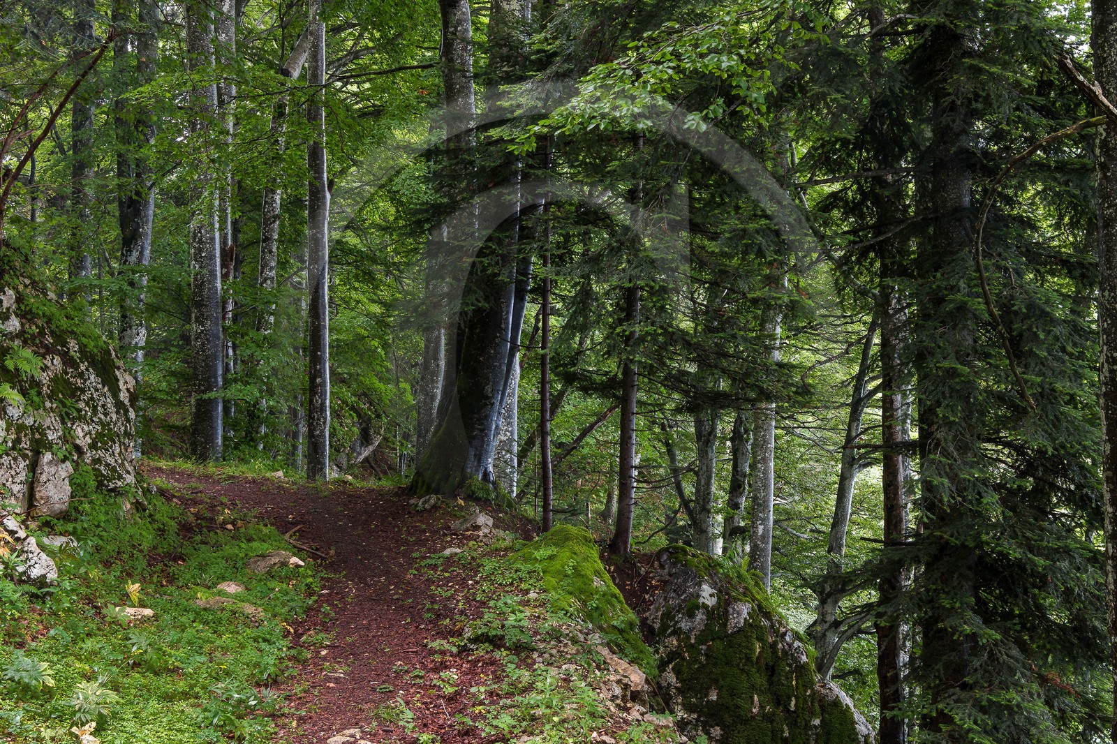 ENS de l'Isère, Les Ecouges