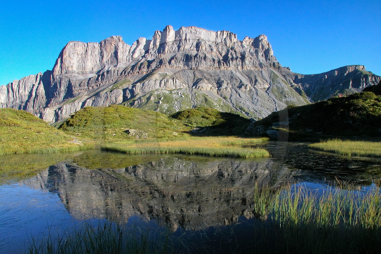Réserve naturelle de Passy, Lac de Pormenaz