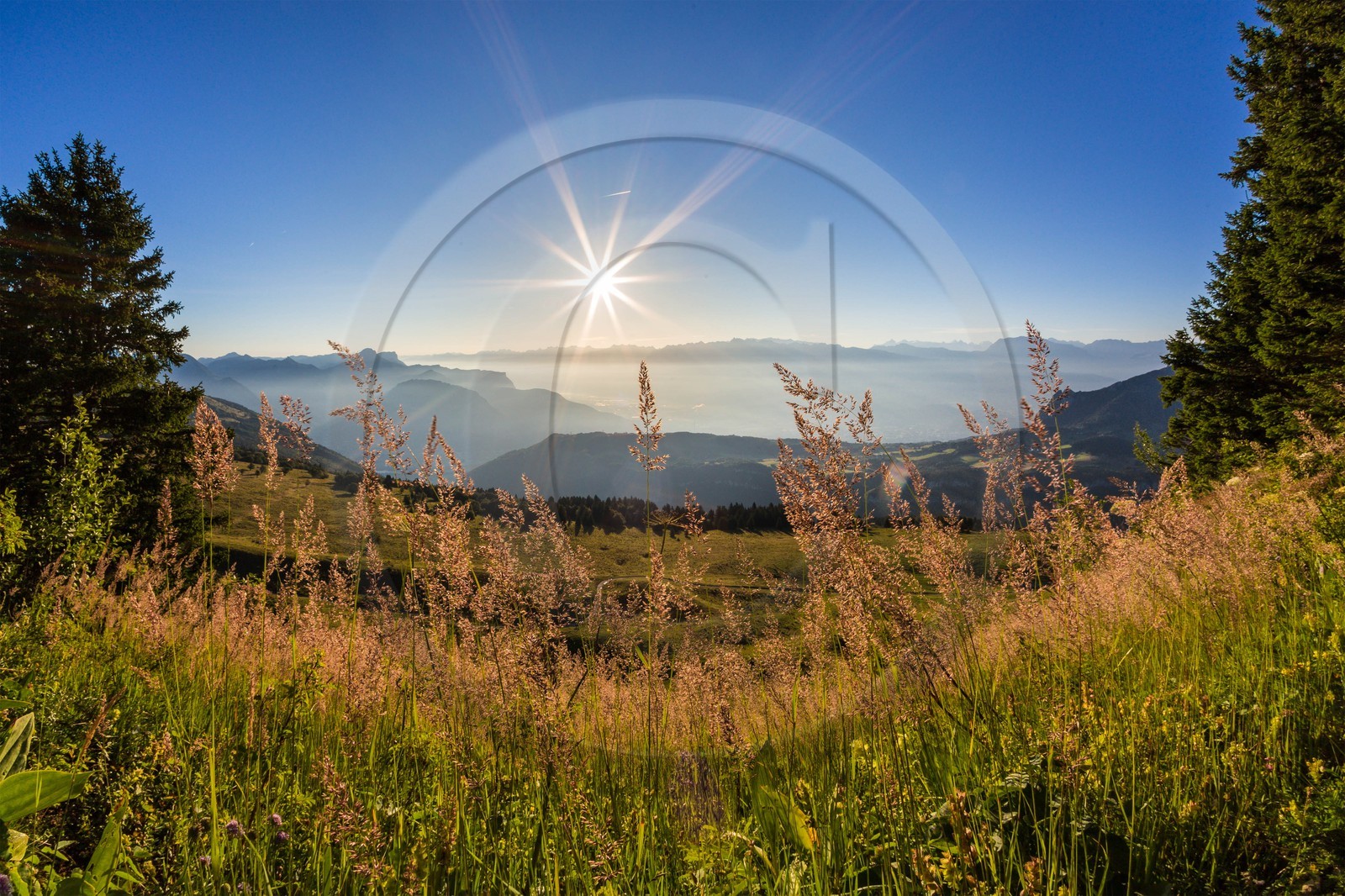 ENS de l'Isère, Plateau de la Molière et du Sornin