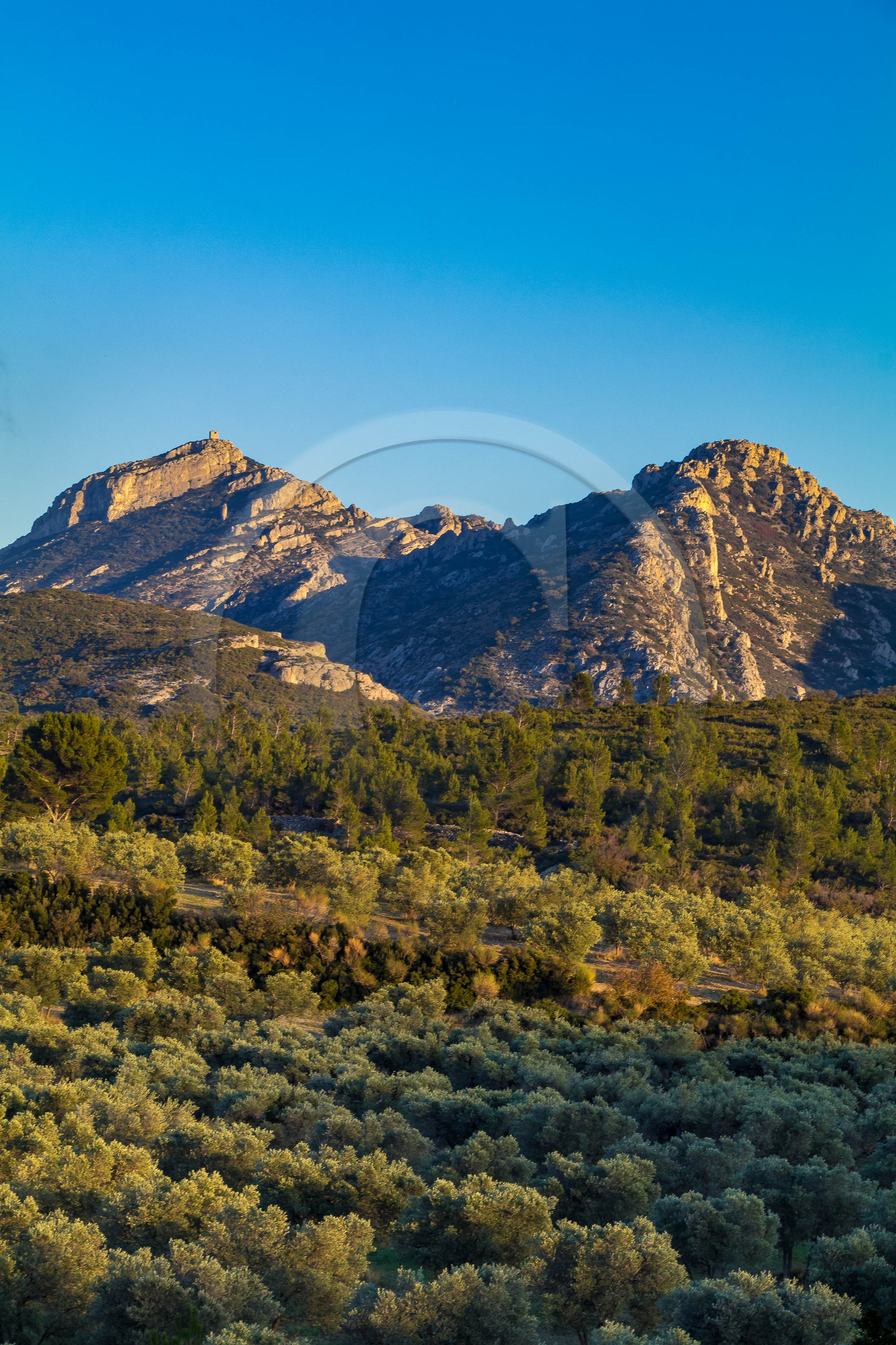 Les Baux de Provence, Domaine La Fabresse