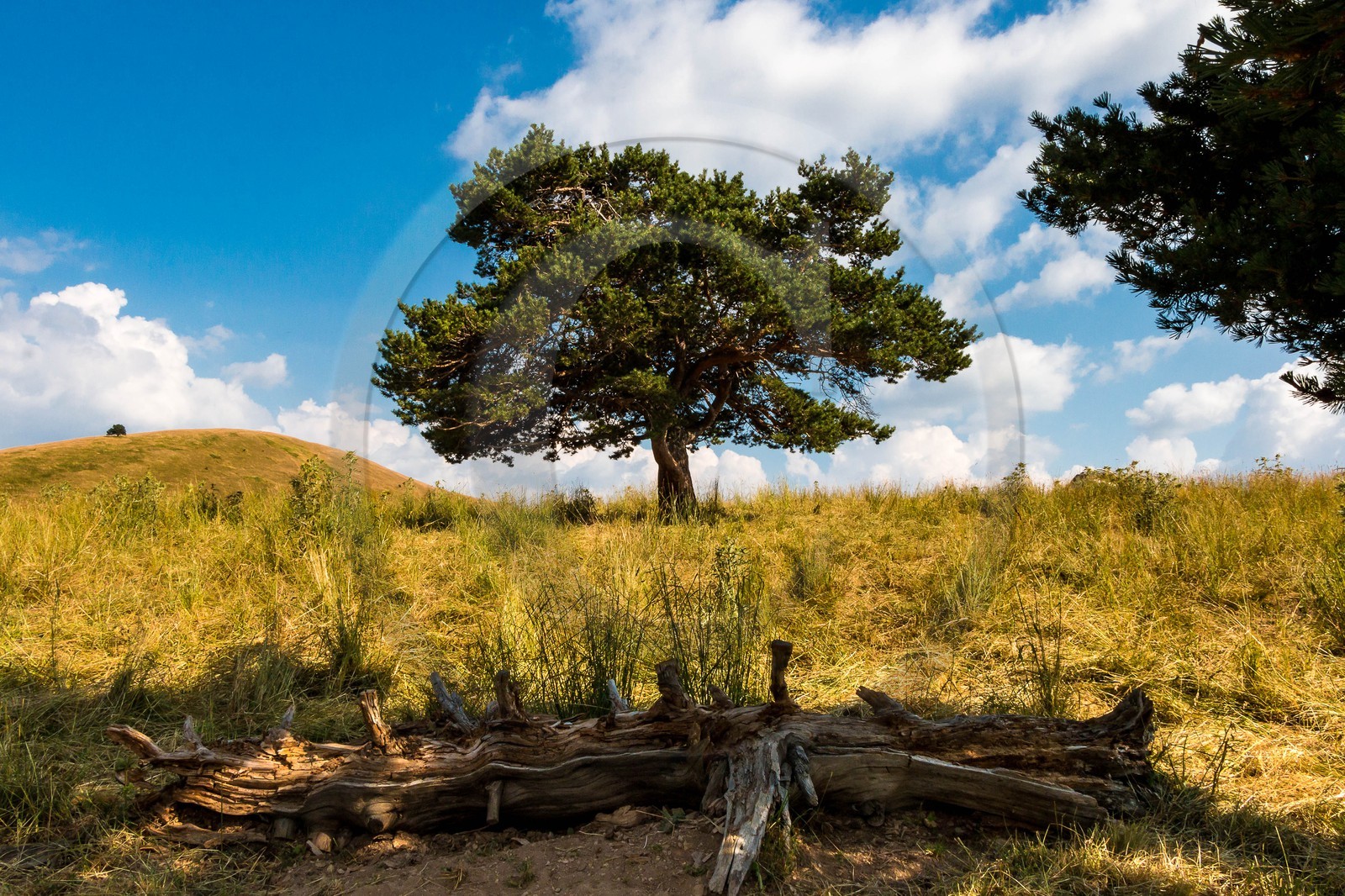 Les Monges, col de Combanière , Tête Grosse, Chabanon, le Bressa