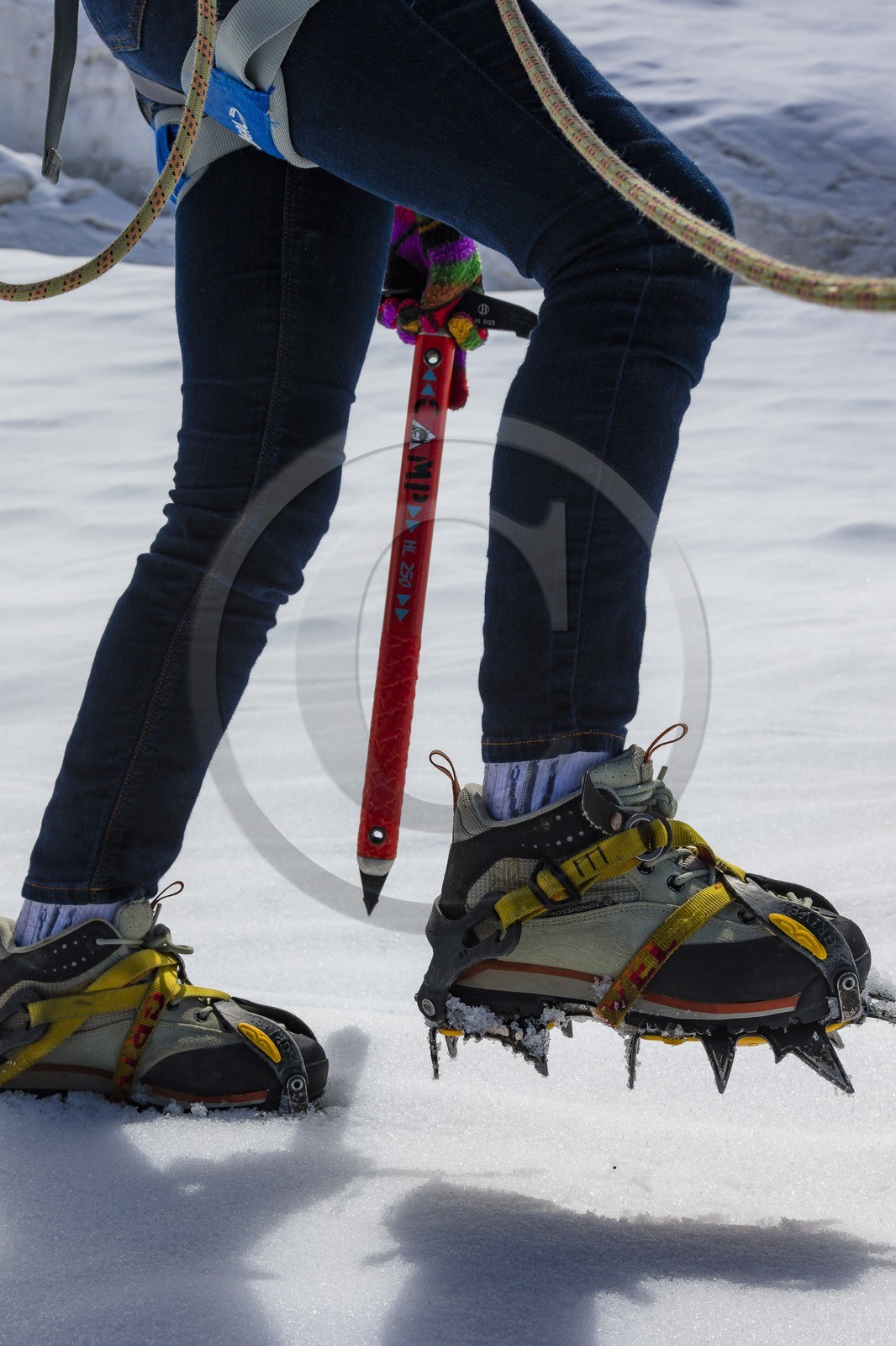 Découverte des glaciers avec Christophe Dureau, guide de haute montagne