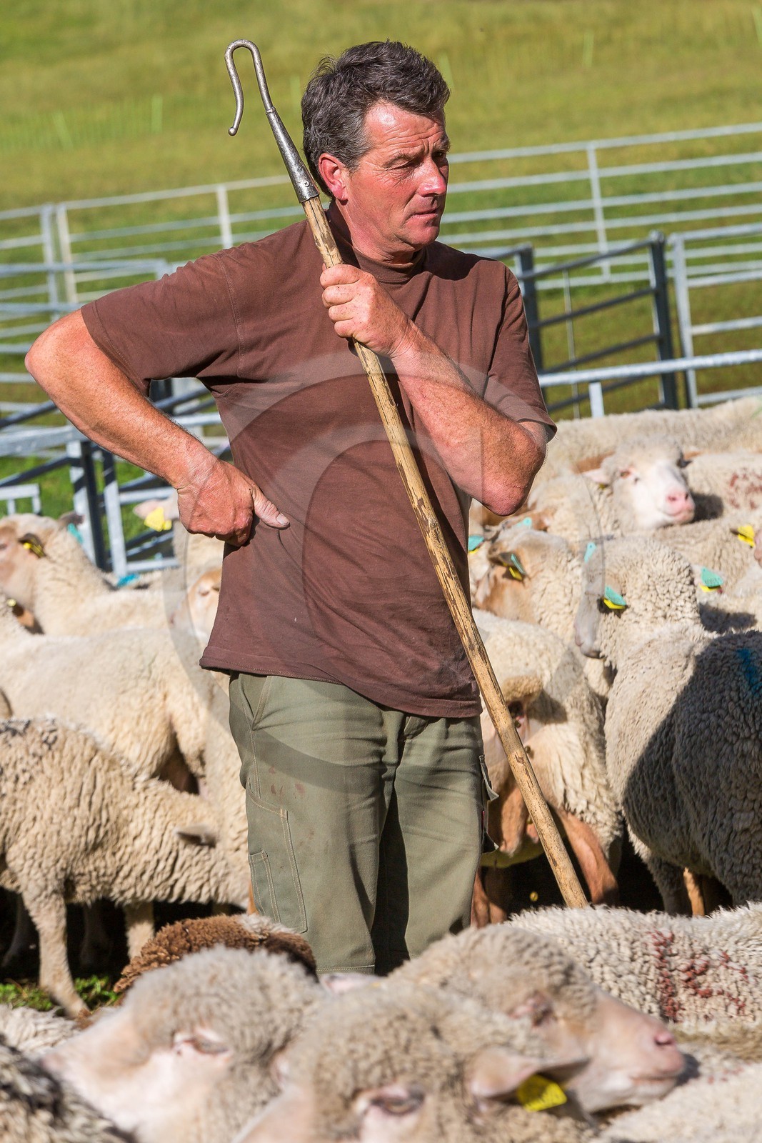 Le Désert, désenmontagnage