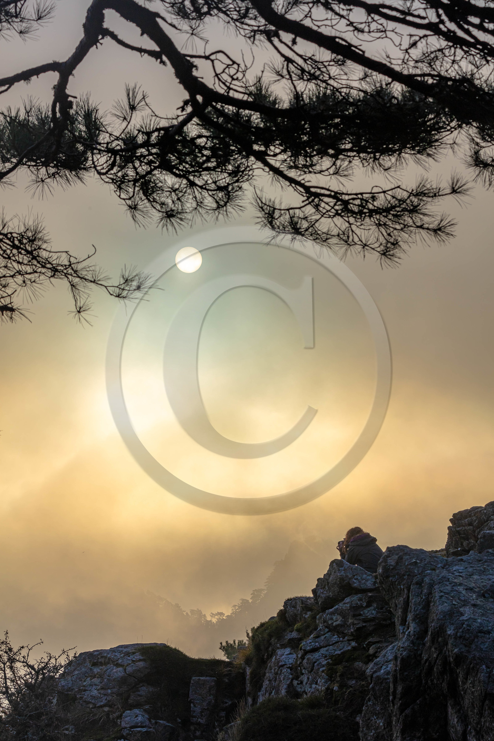 Les Aiguilles de Bavella (forchi di Bavedda )