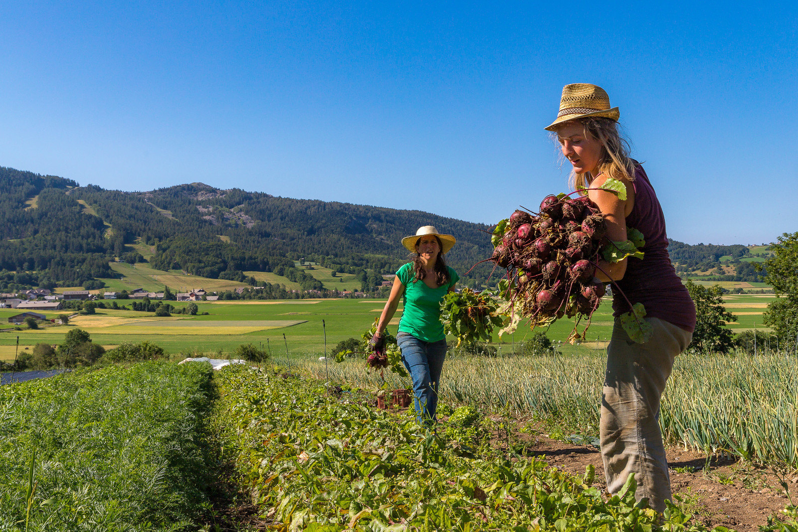 LéguMontagne, Sylvie Jaussaud et  Bertille Gieu, Maraîchères bio