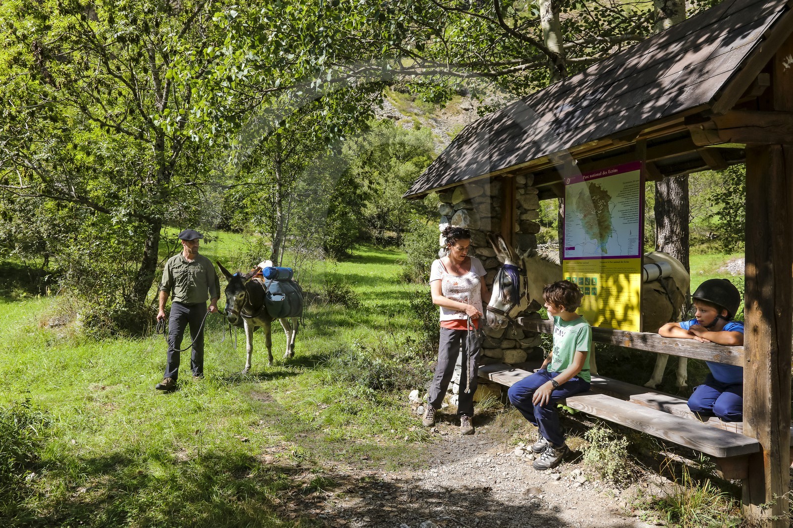 Yohann Masnada, accompagnateur ânier