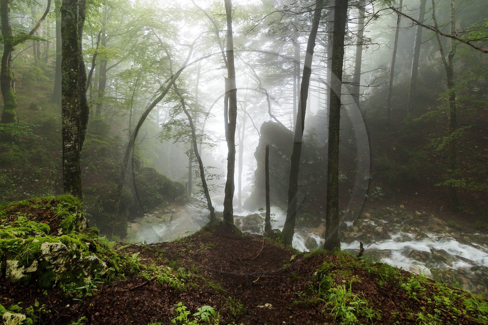 ENS de l'Isère, Les Ecouges