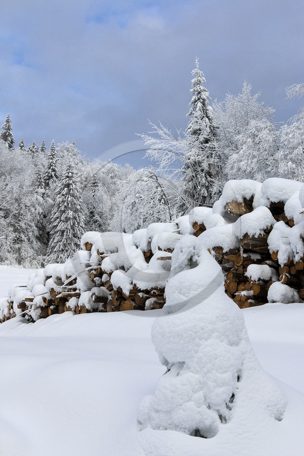 ENS de l'Isère, Les Ecouges