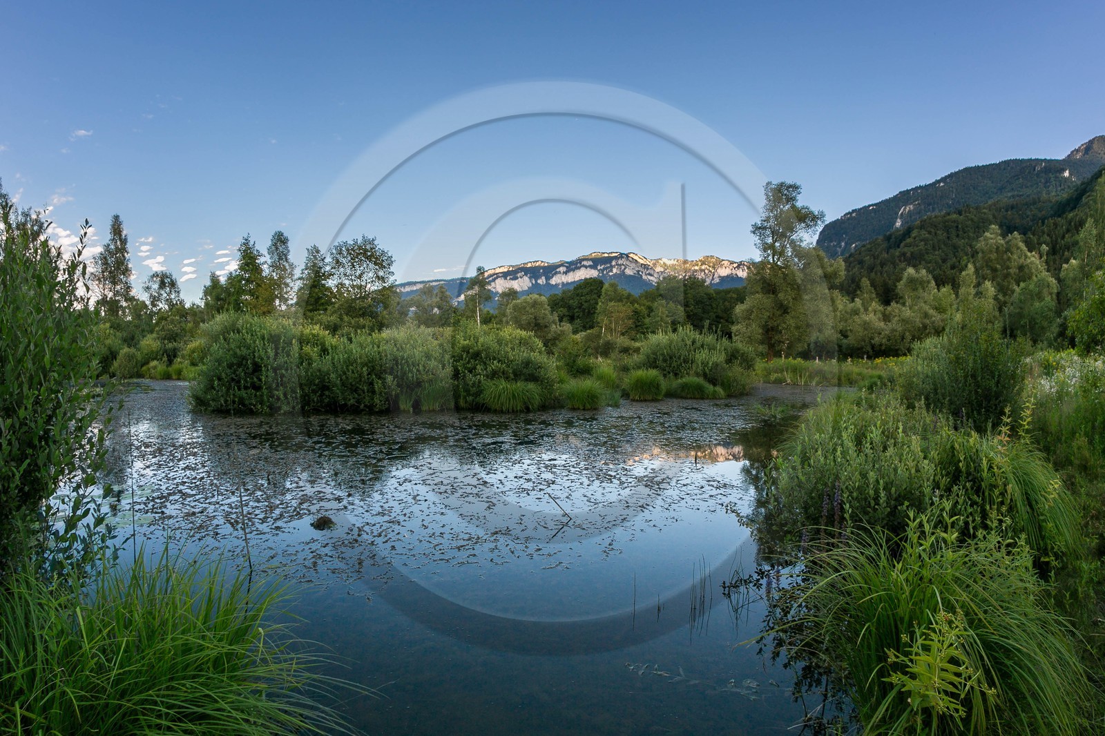 ENS de l'Isère, Tourbières de l'Herretang