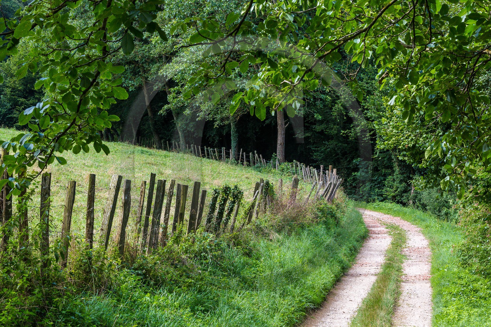 ENS de l'Isère, Marais de Chirens