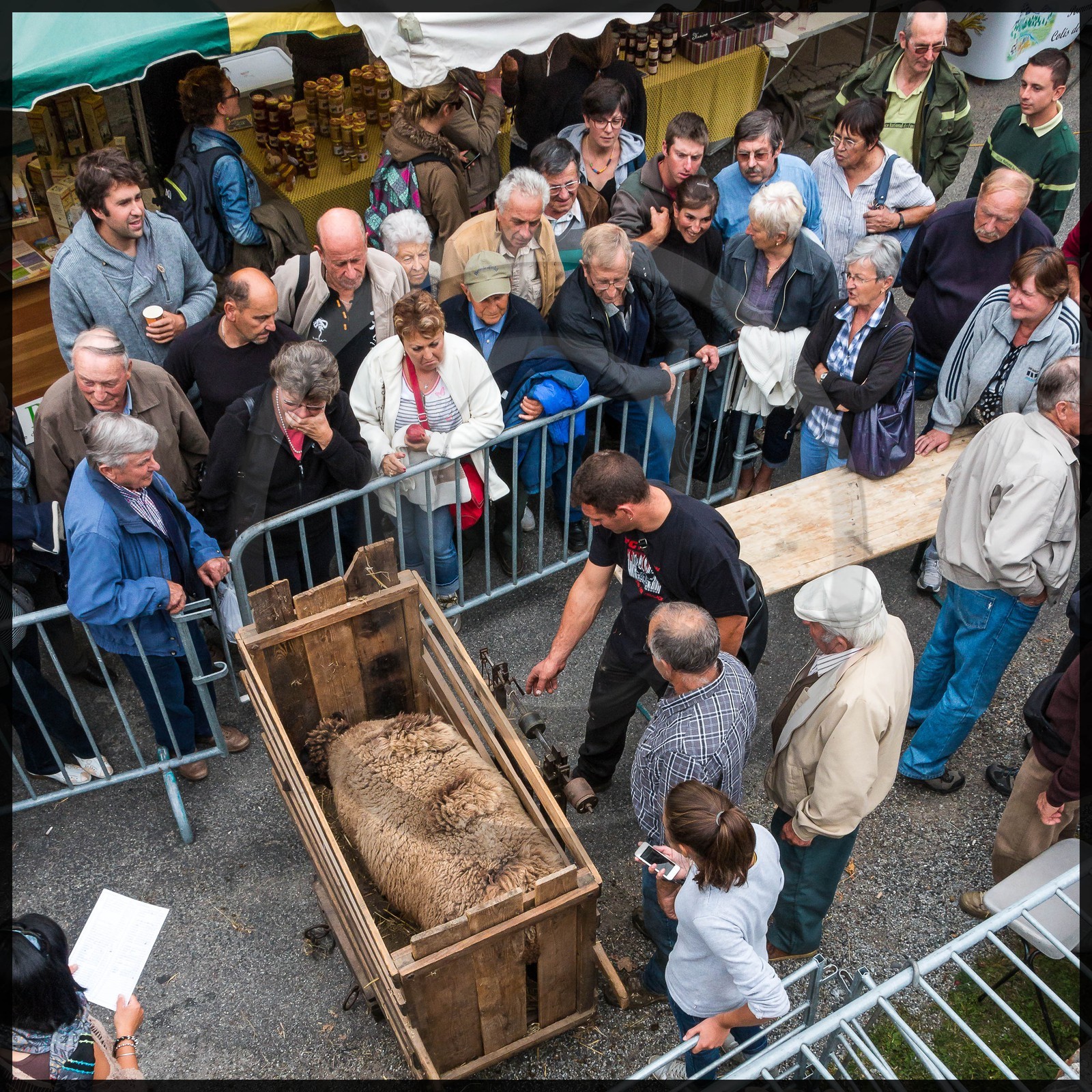 Vallée de Champoléon, Les Borels, foire au tardon