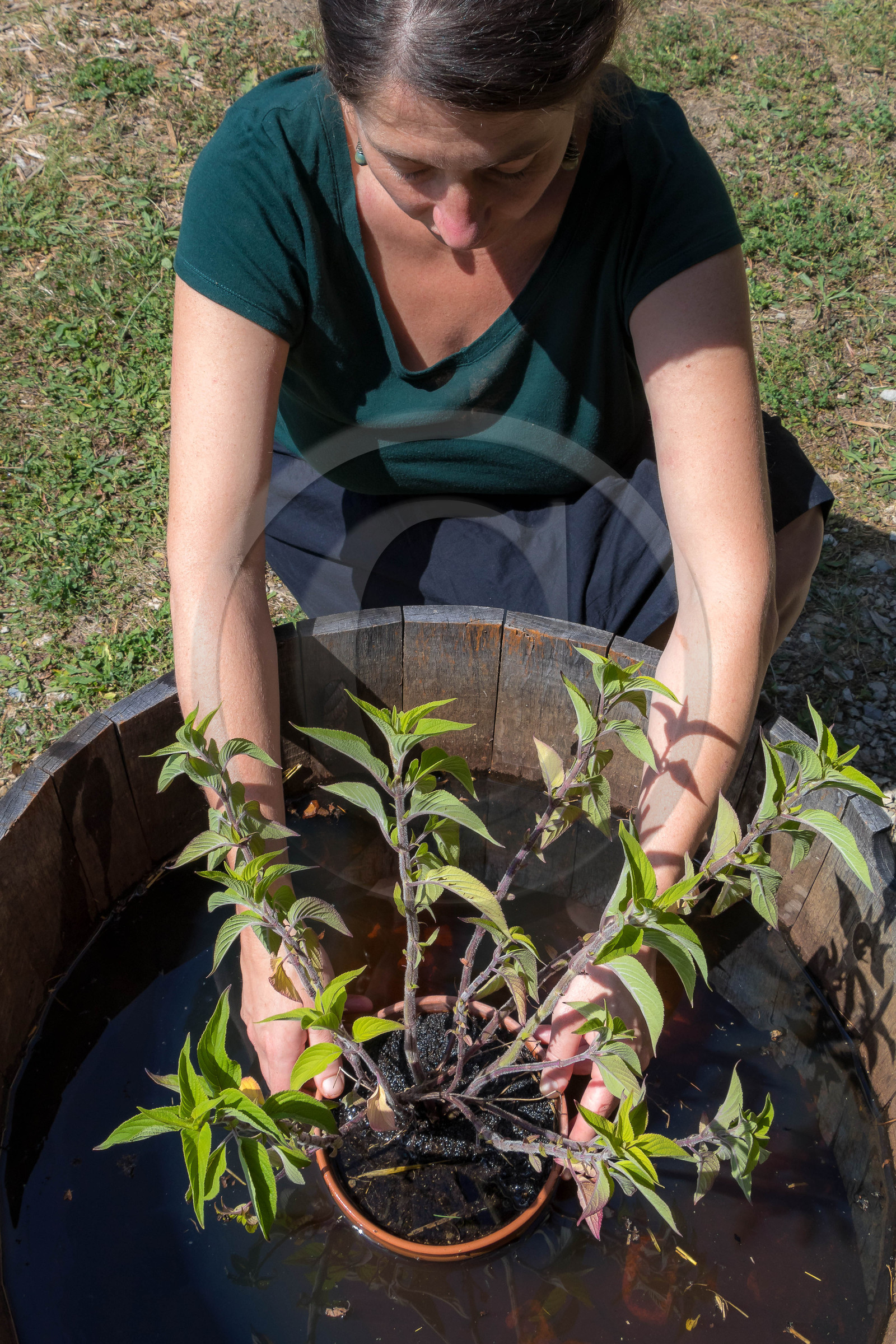 Parc écologique Terre Vivante