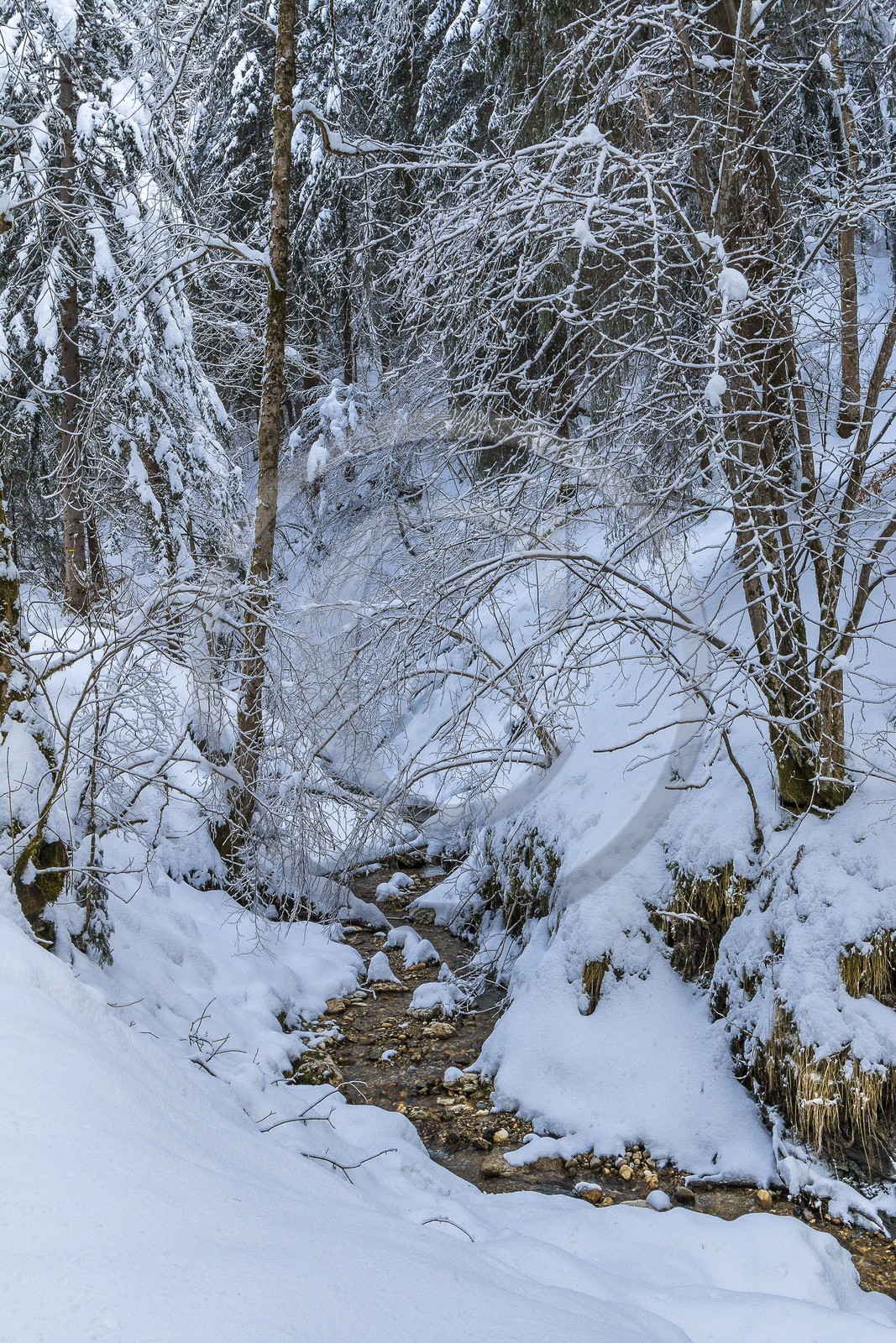 ENS de l'Isère, Les Ecouges
