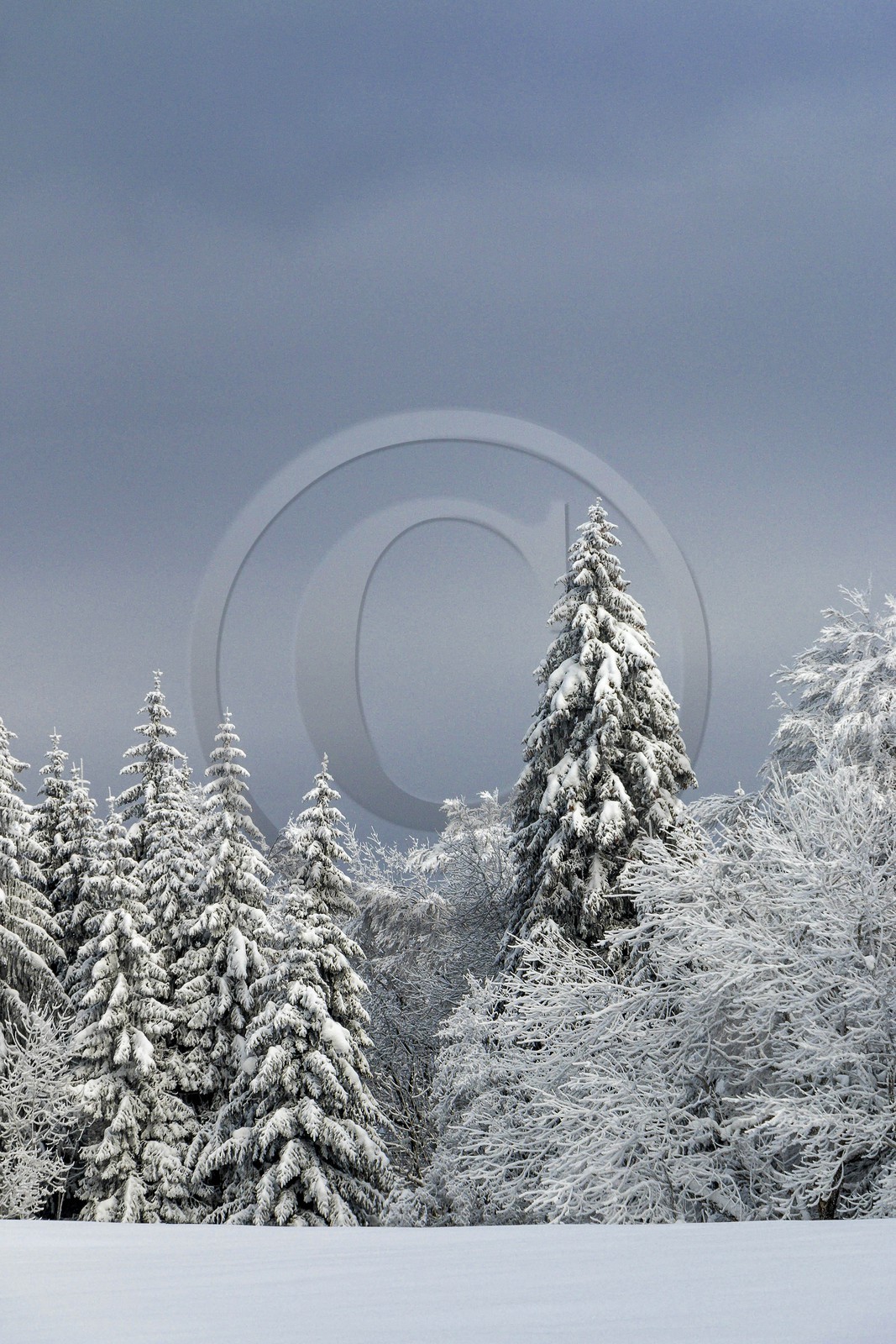 ENS de l'Isère, Les Ecouges