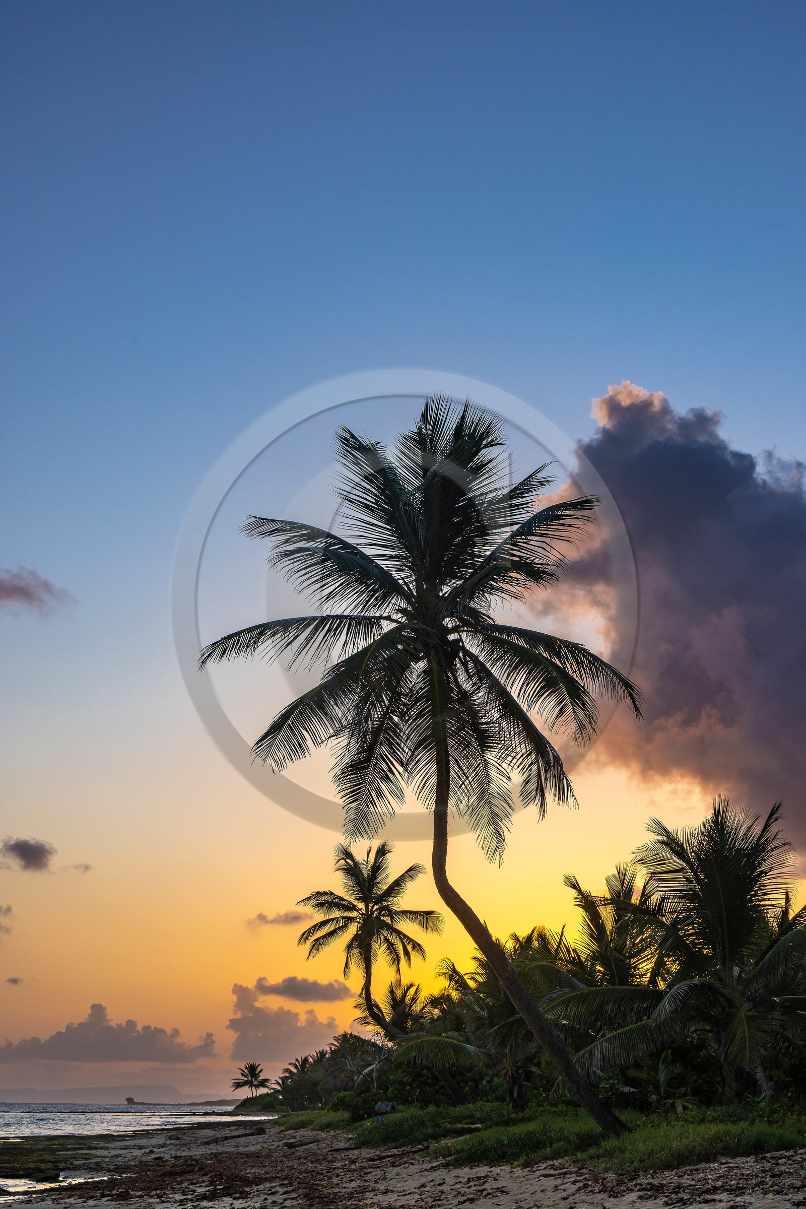 Guadeloupe, Le Moule, Anse Conchou
