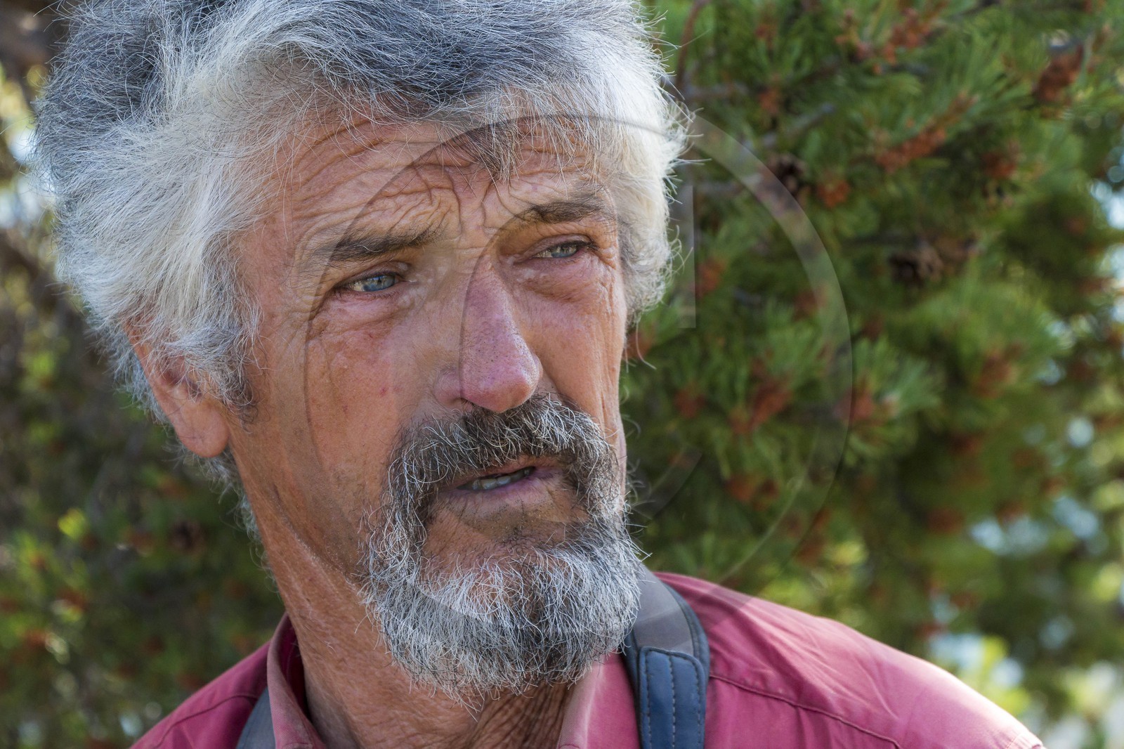 Alpage du Gau, le berger Guy Achard et Camille Magrit, bergère stagiaire