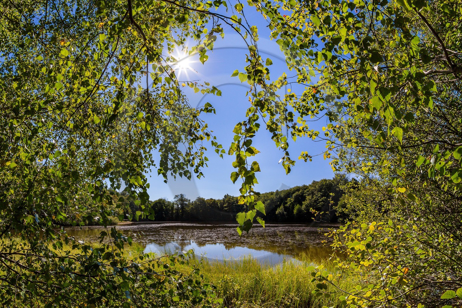 ENS de l'Isère, Etang des Béroudières