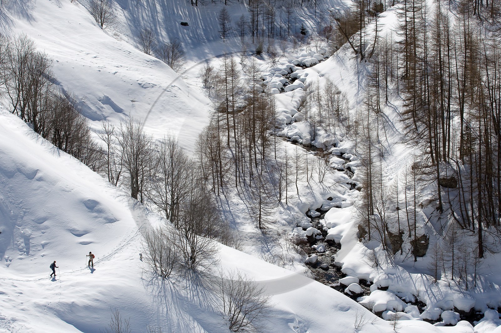 Randonnée raquettes