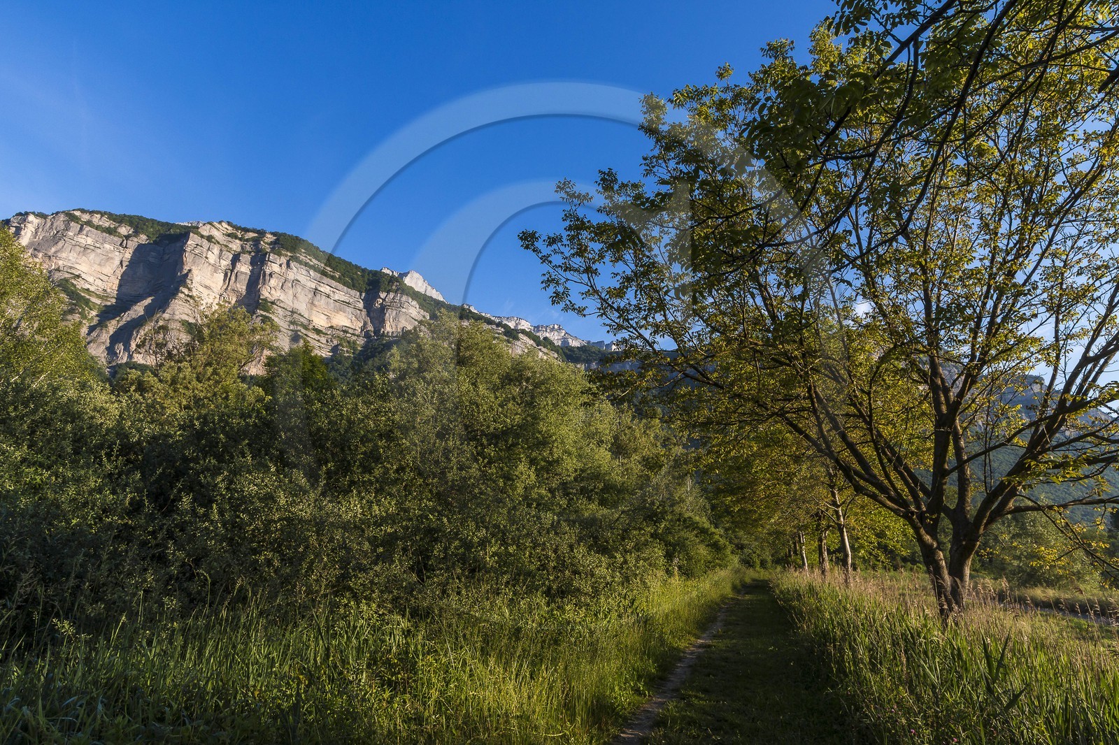 ENS de l'Isère, Marais de Montfort
