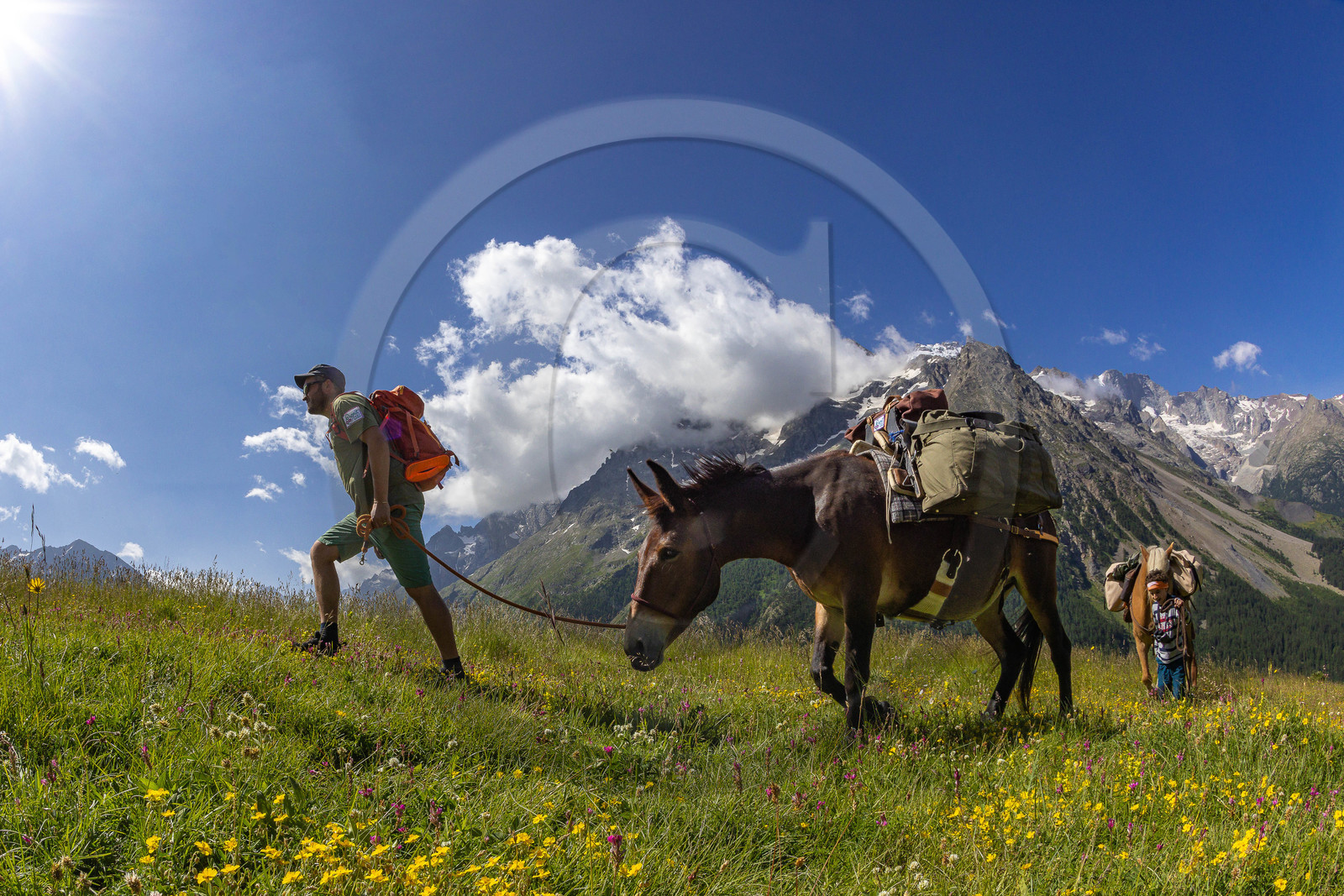 Trek famille avec animaux de bats