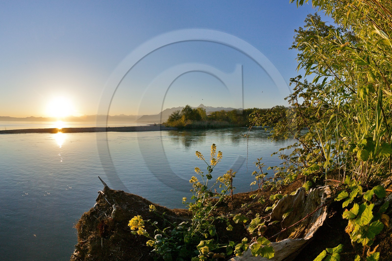 Réserve naturelle du delta de la Dranse