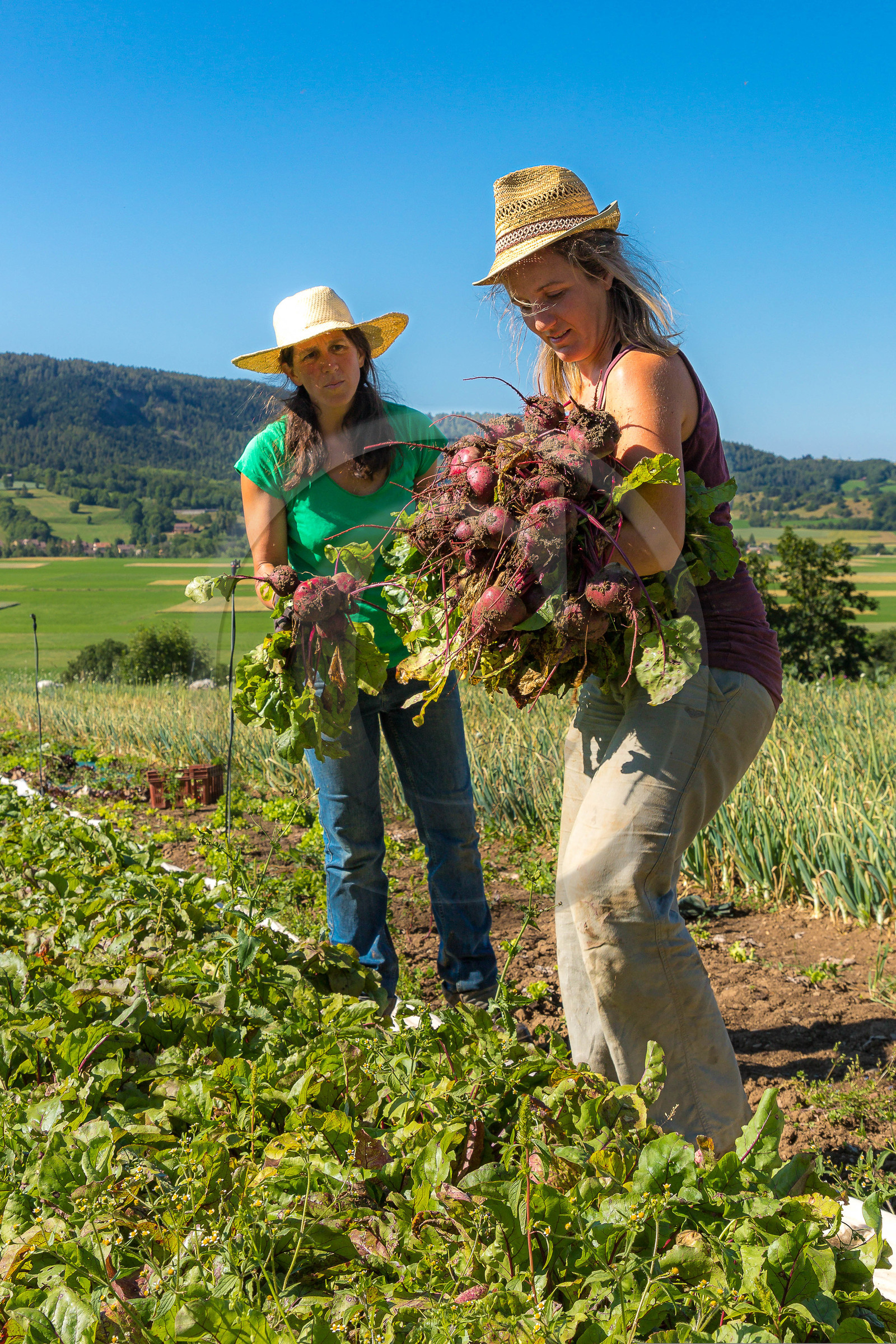 LéguMontagne, Sylvie Jaussaud et  Bertille Gieu, Maraîchères bio