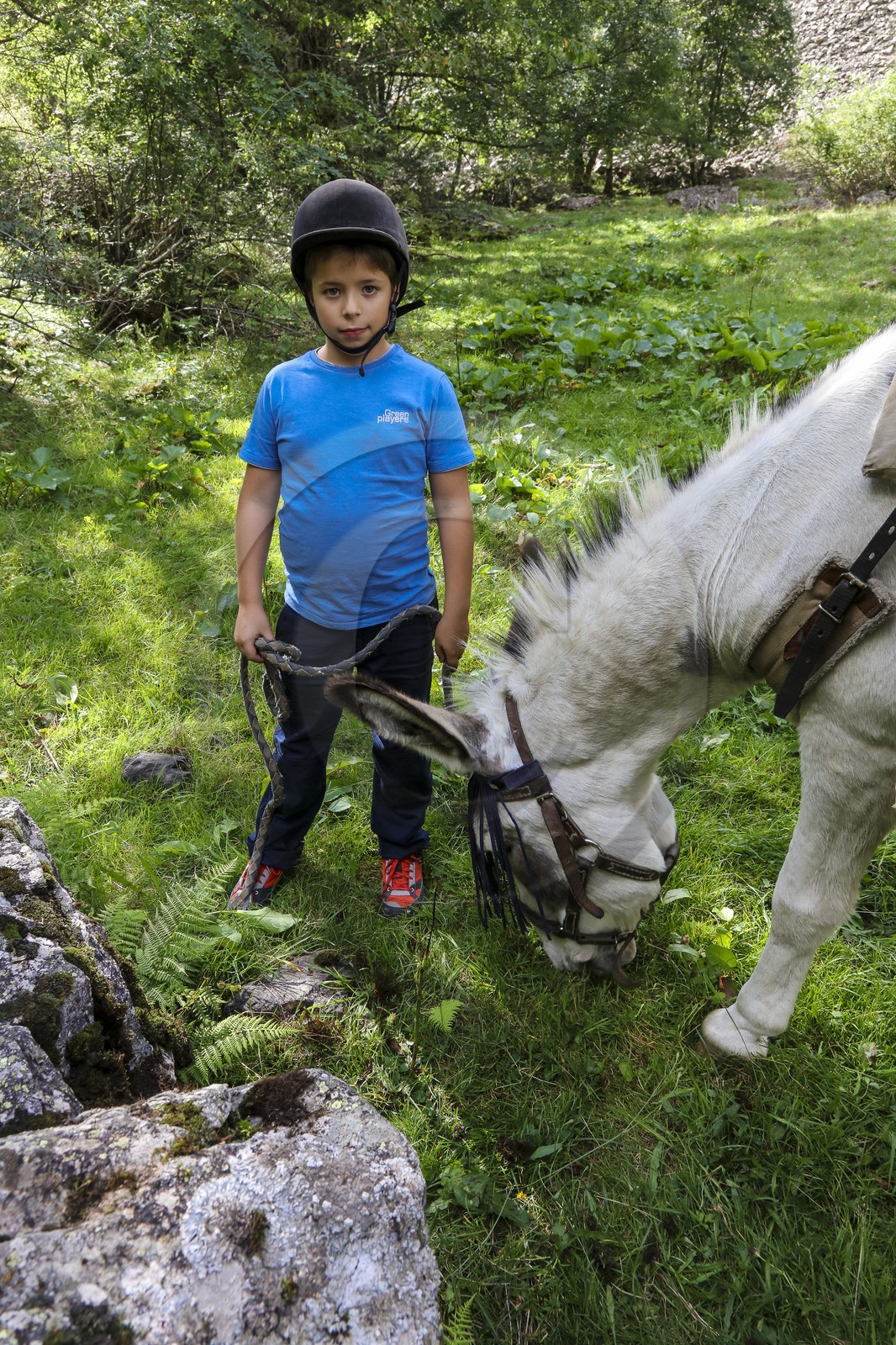 Yohann Masnada, accompagnateur ânier