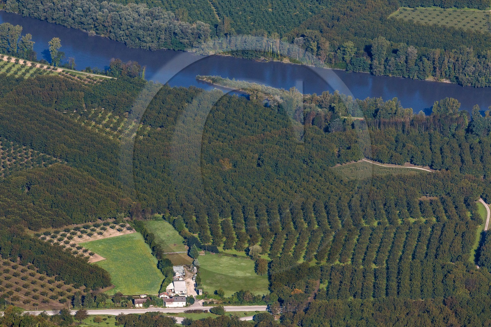 ENS de l'Isère, plantation de noyer et l'Isère