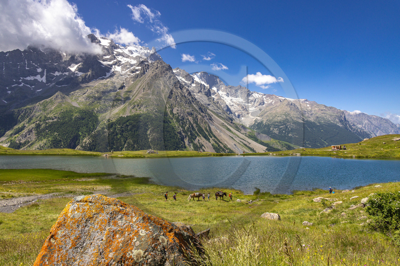 Trek famille avec animaux de bats