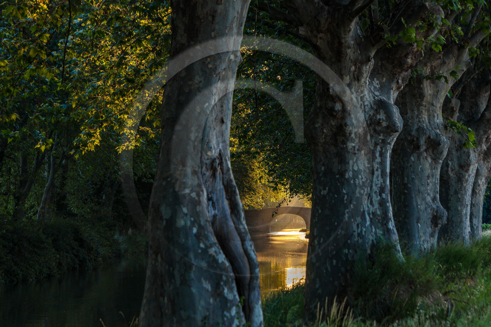 Canal du Midi, inscrit au Patrimoine mondial de l'UNESCO