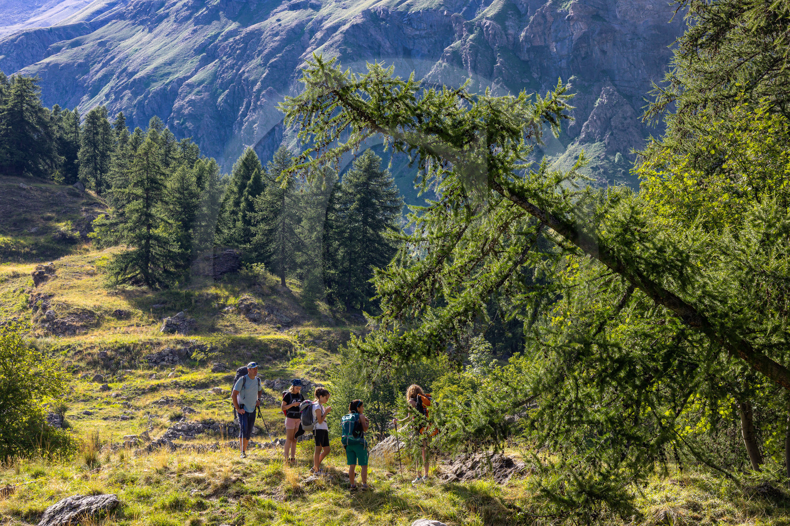 Vallée de Freissinières