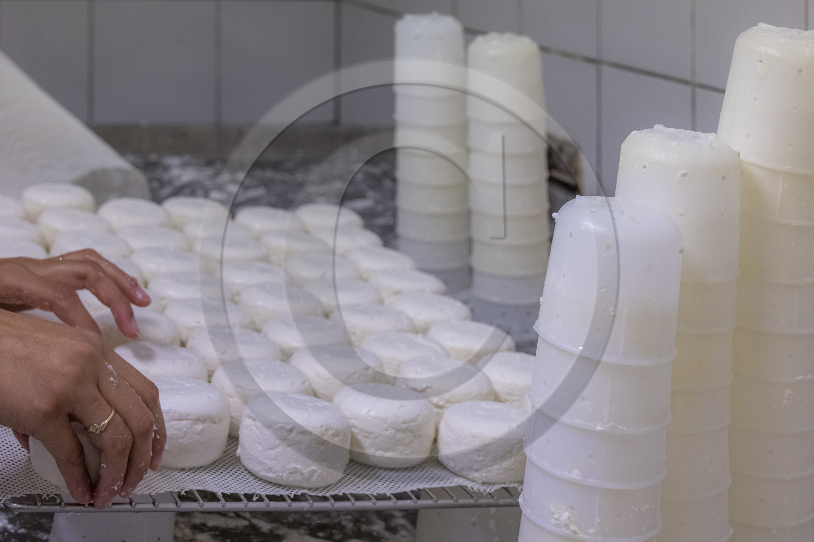 Gaec La Ferme des Ecrins