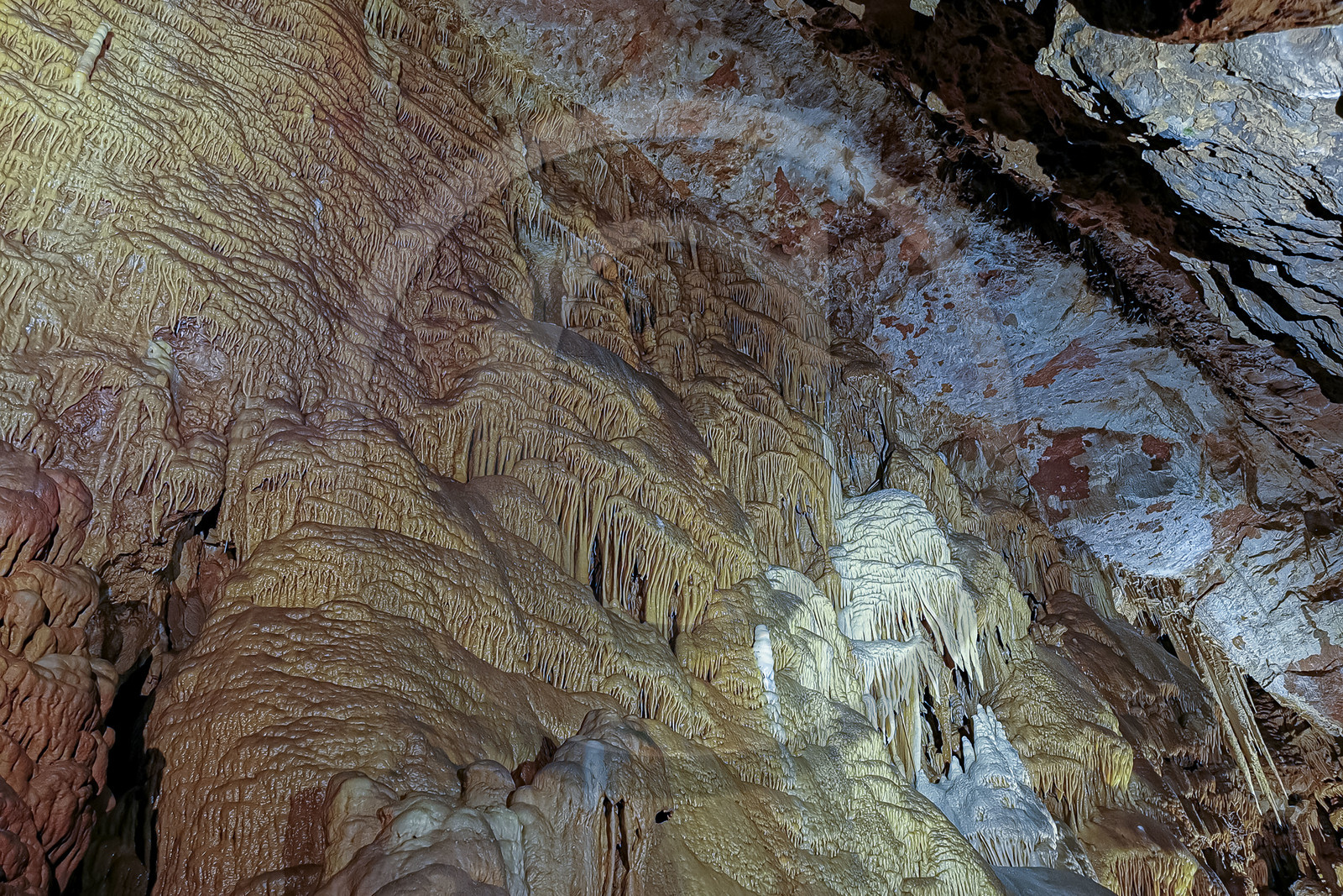 Grotte de Dargilan