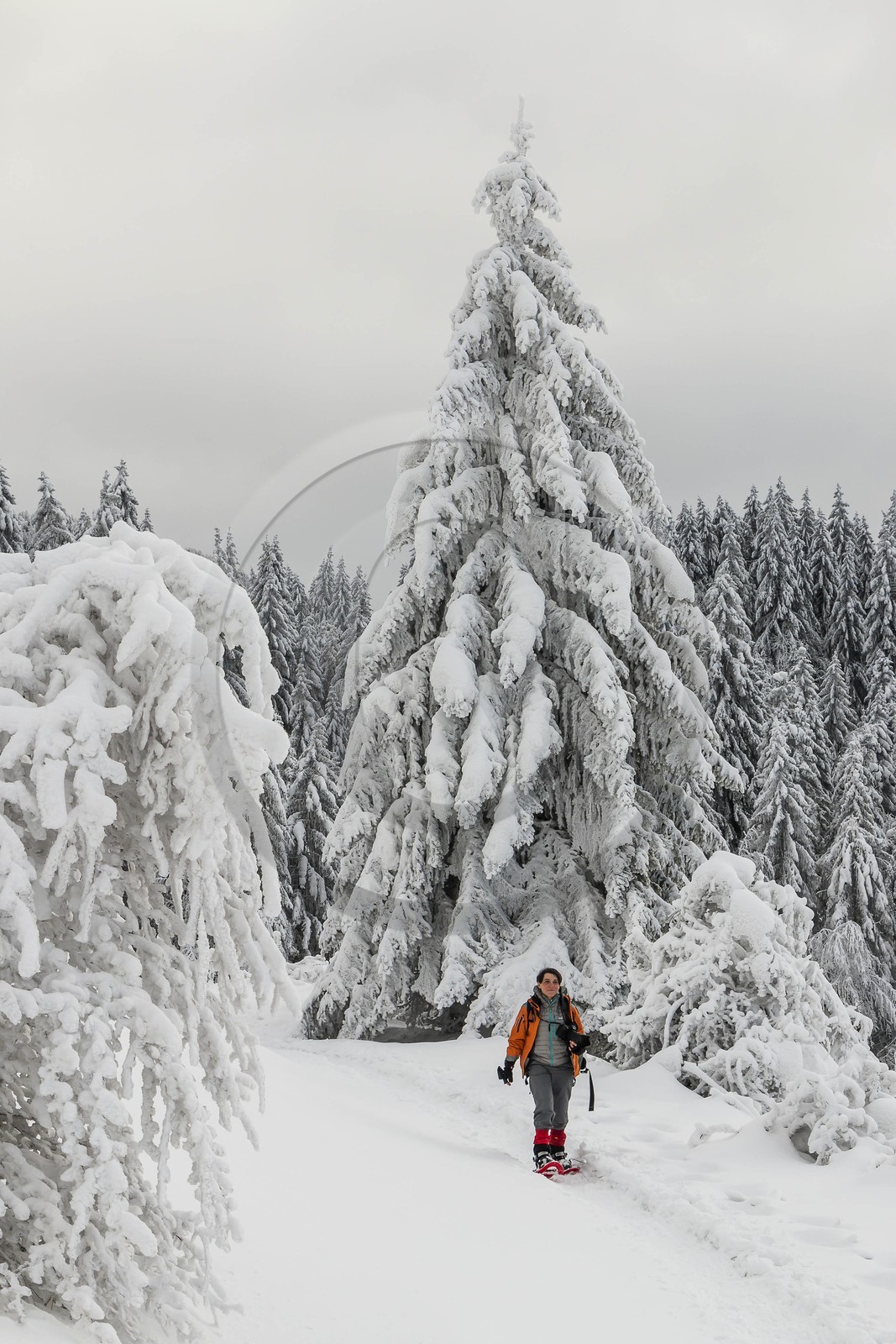 ENS de l'Isère, Les Ecouges