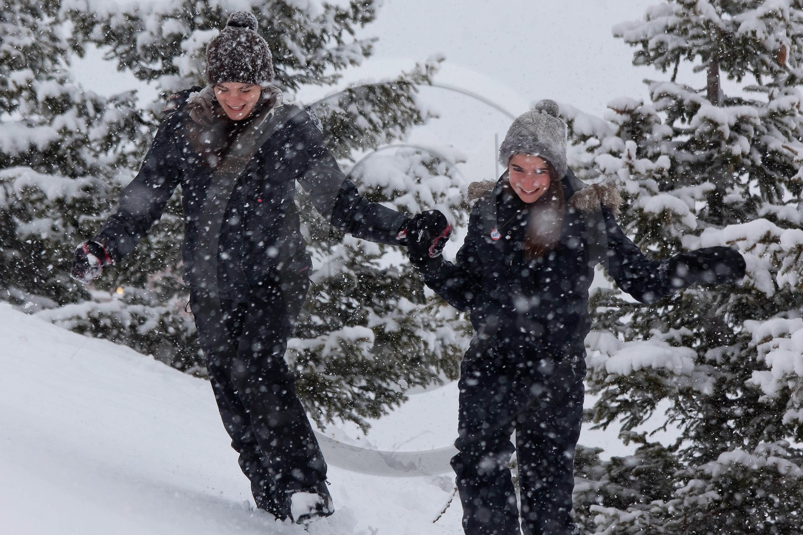 Hiver, randonnée balade sous la neige