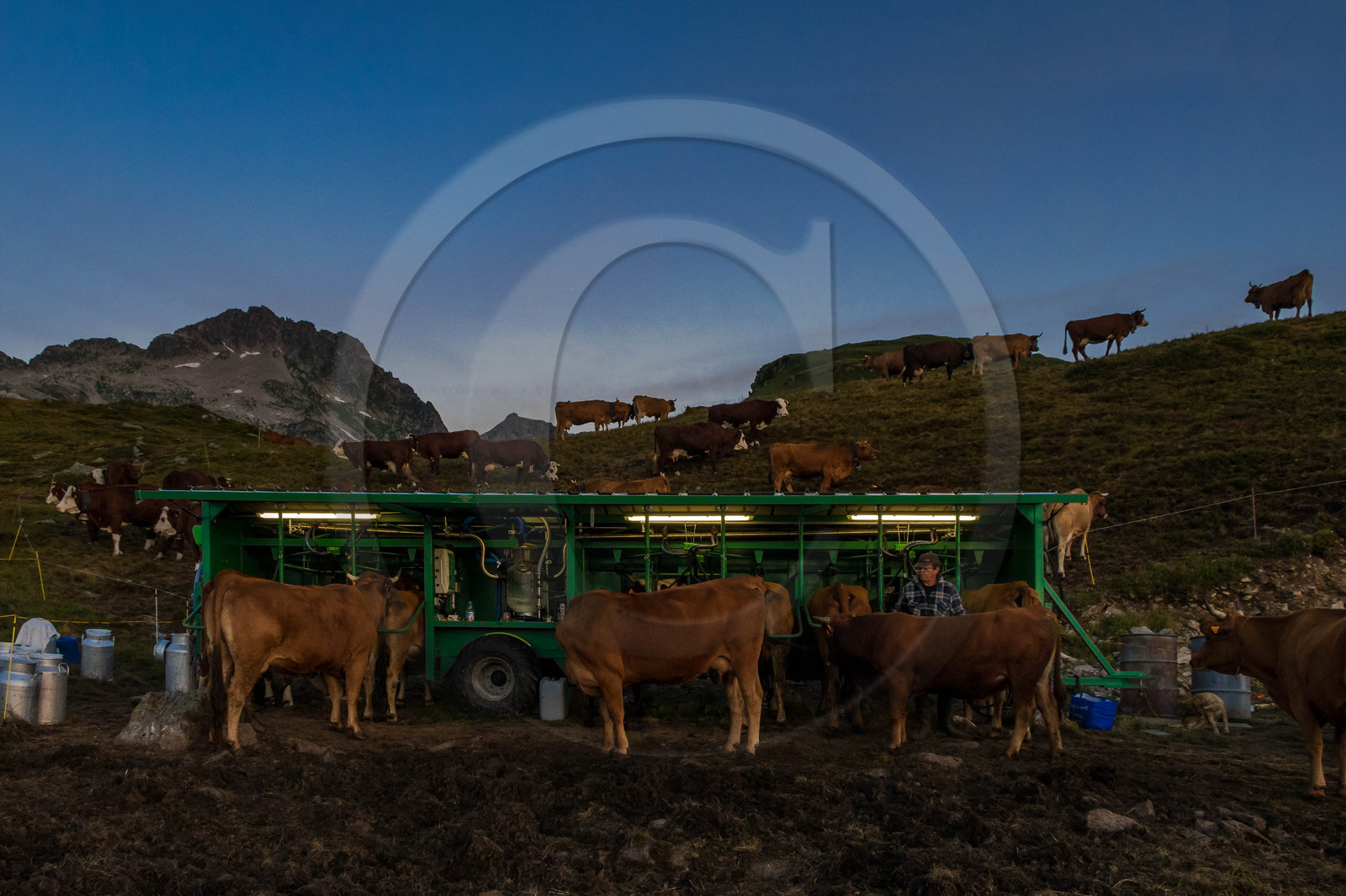 Alpage de l'Arpettaz