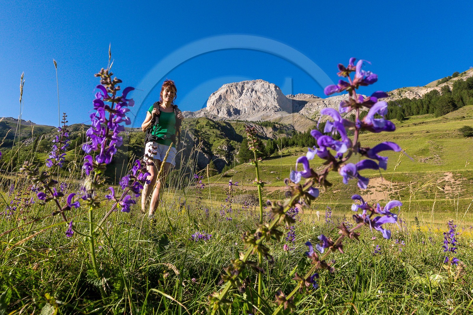 Ubaye, Vallon du Laverq