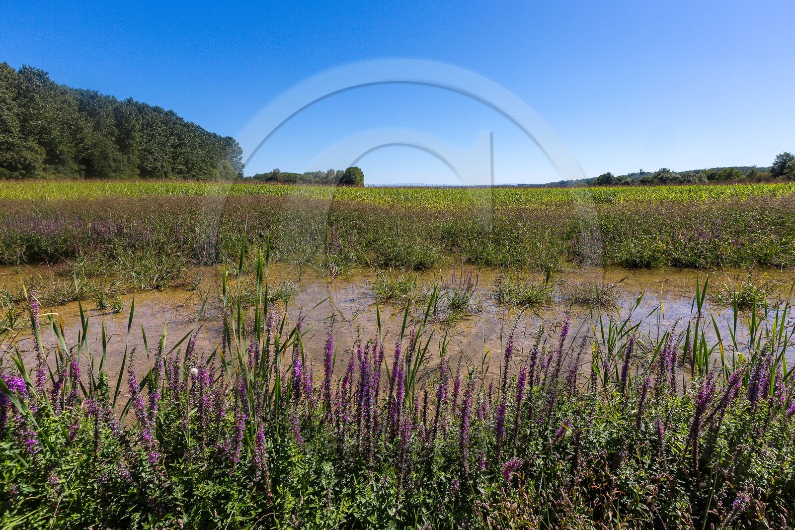 ENS de l'Isère, Les Fontaines de Beaufort