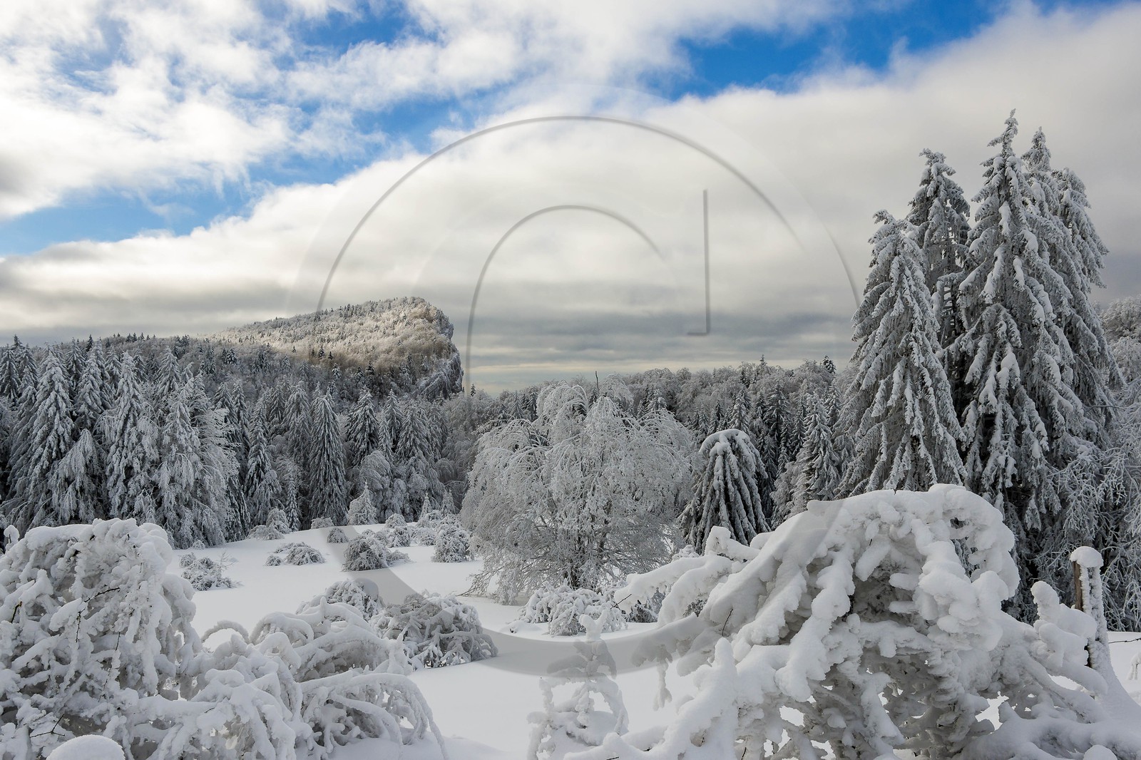 ENS de l'Isère, Les Ecouges