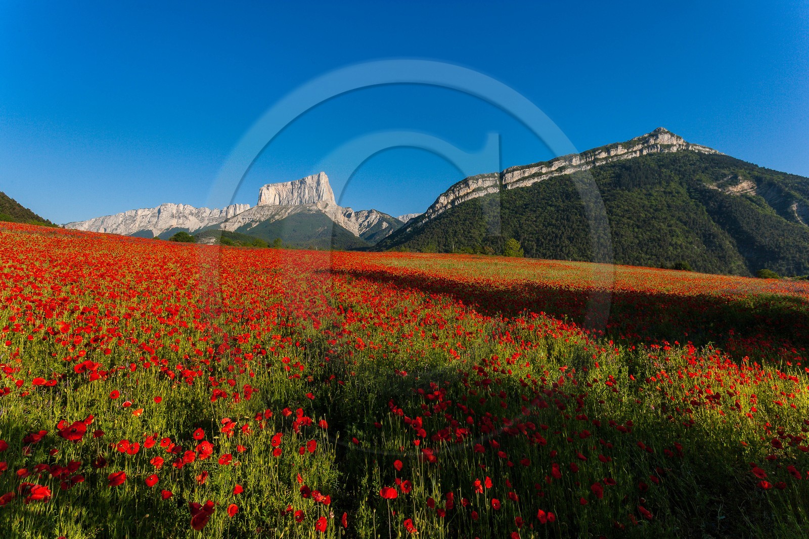 Trièves, le Mont-Aiguille