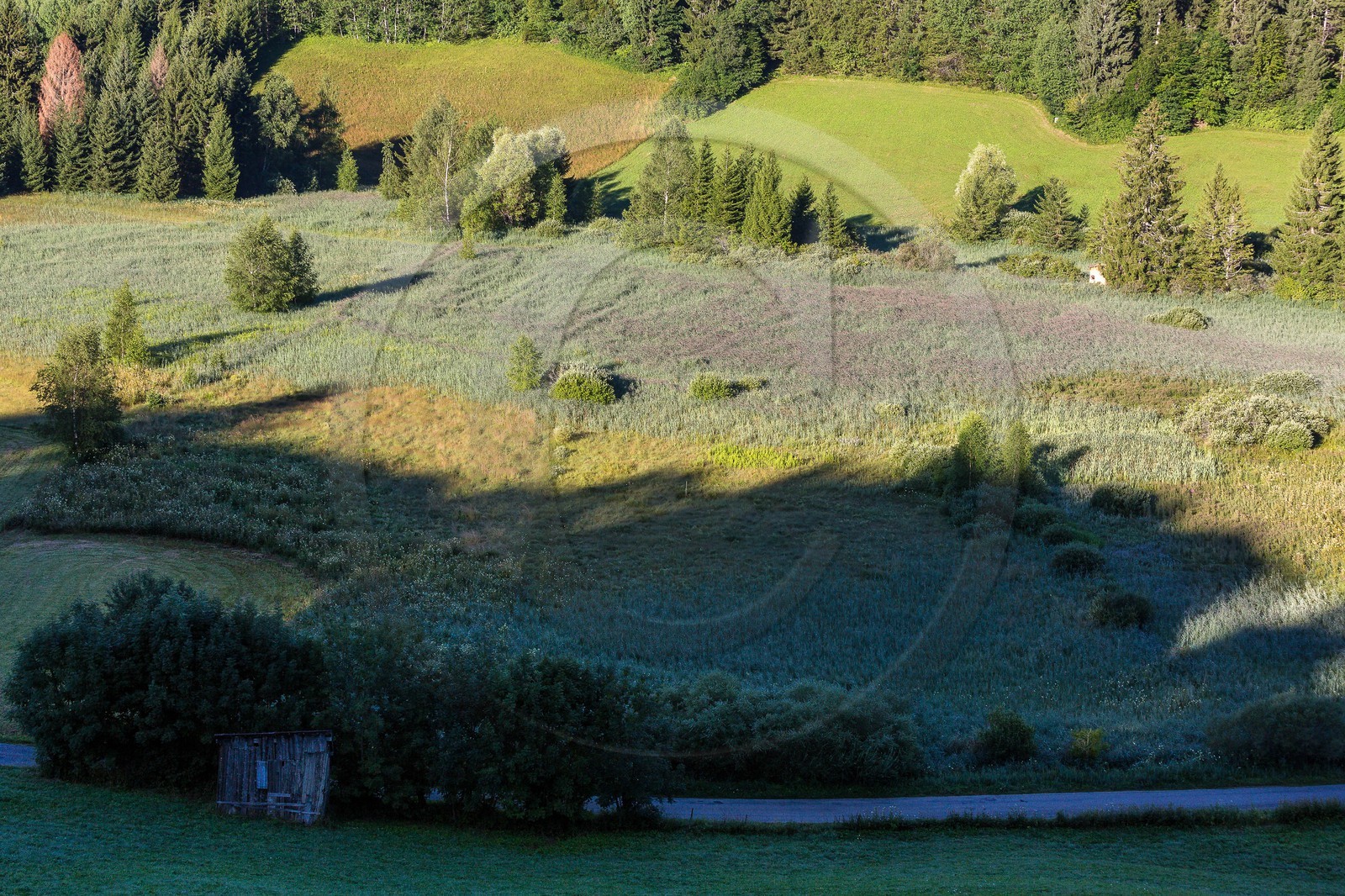 ENS de l'Isère, Marais des Sagnes