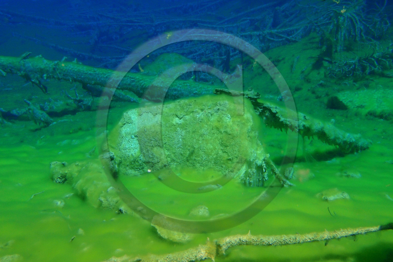 Lac Vert, vallée Etroite