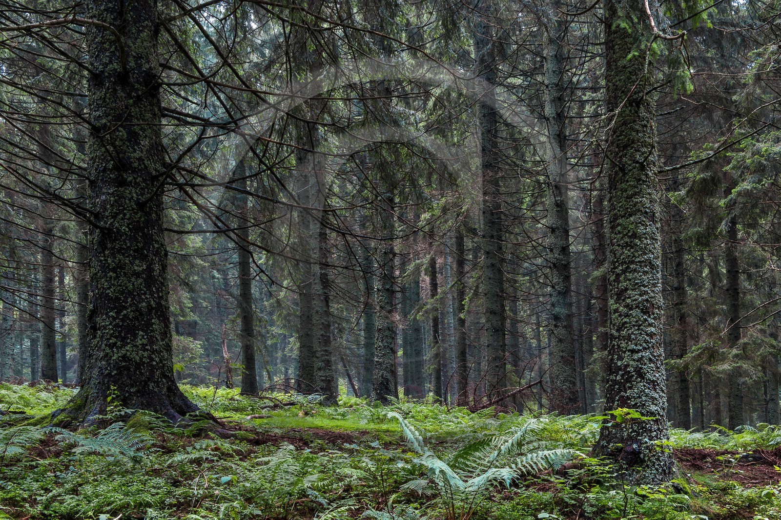 ENS de l'Isère, Les Ecouges