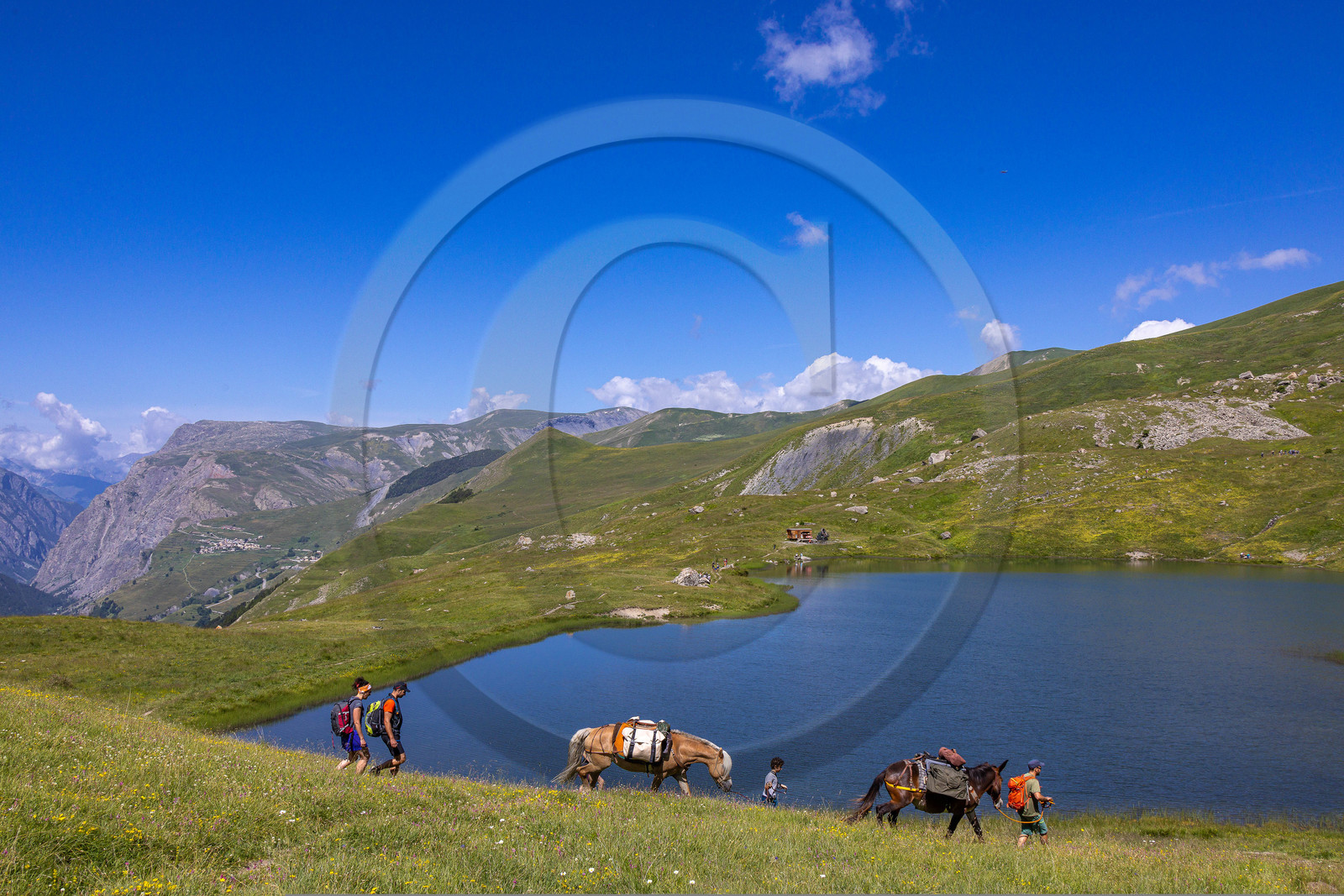 Trek famille avec animaux de bats