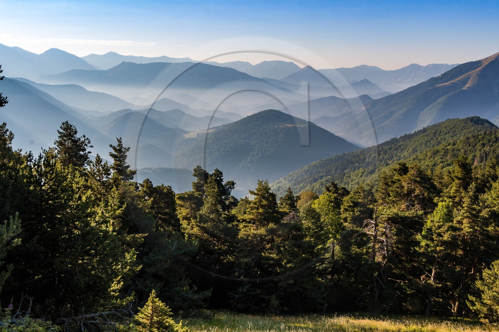Montagne du Gau, bois de la Pinée