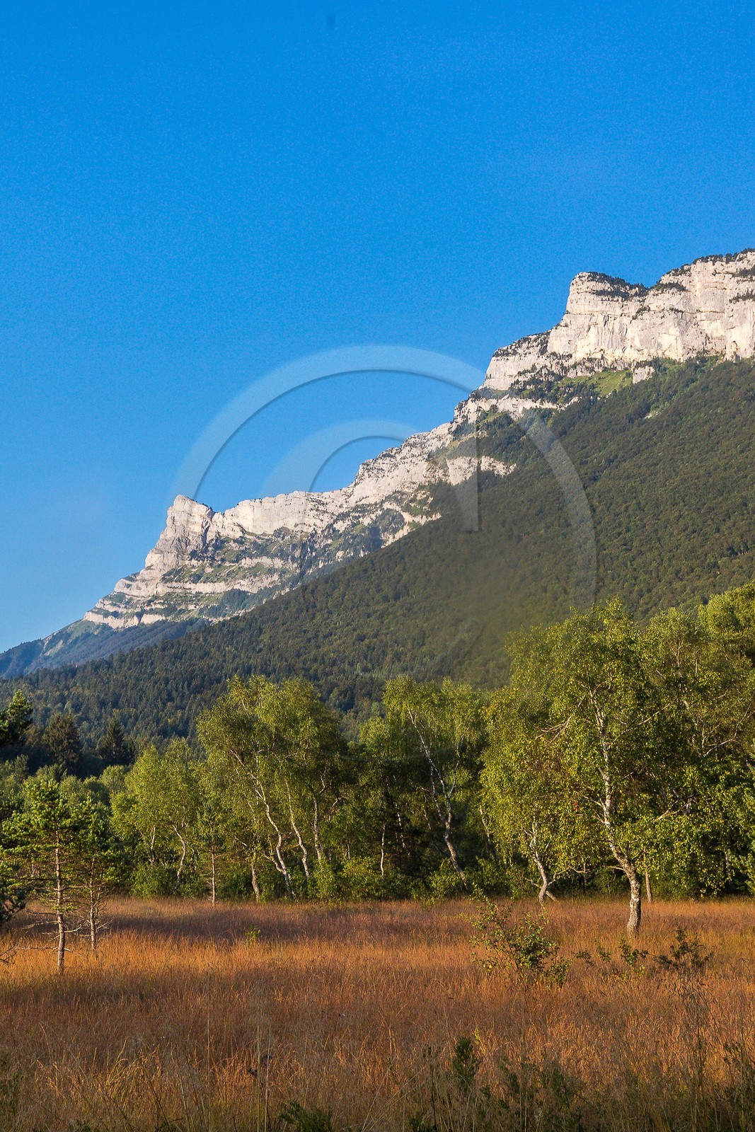 ENS de l'Isère,Tourbières du Peuil